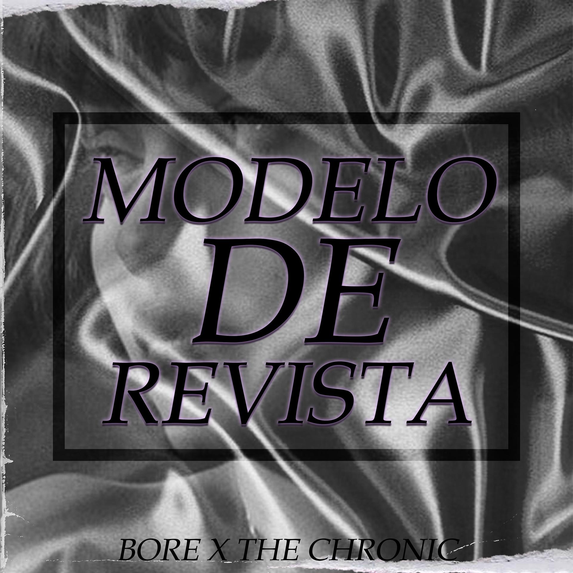 Постер альбома Modelo de Revista