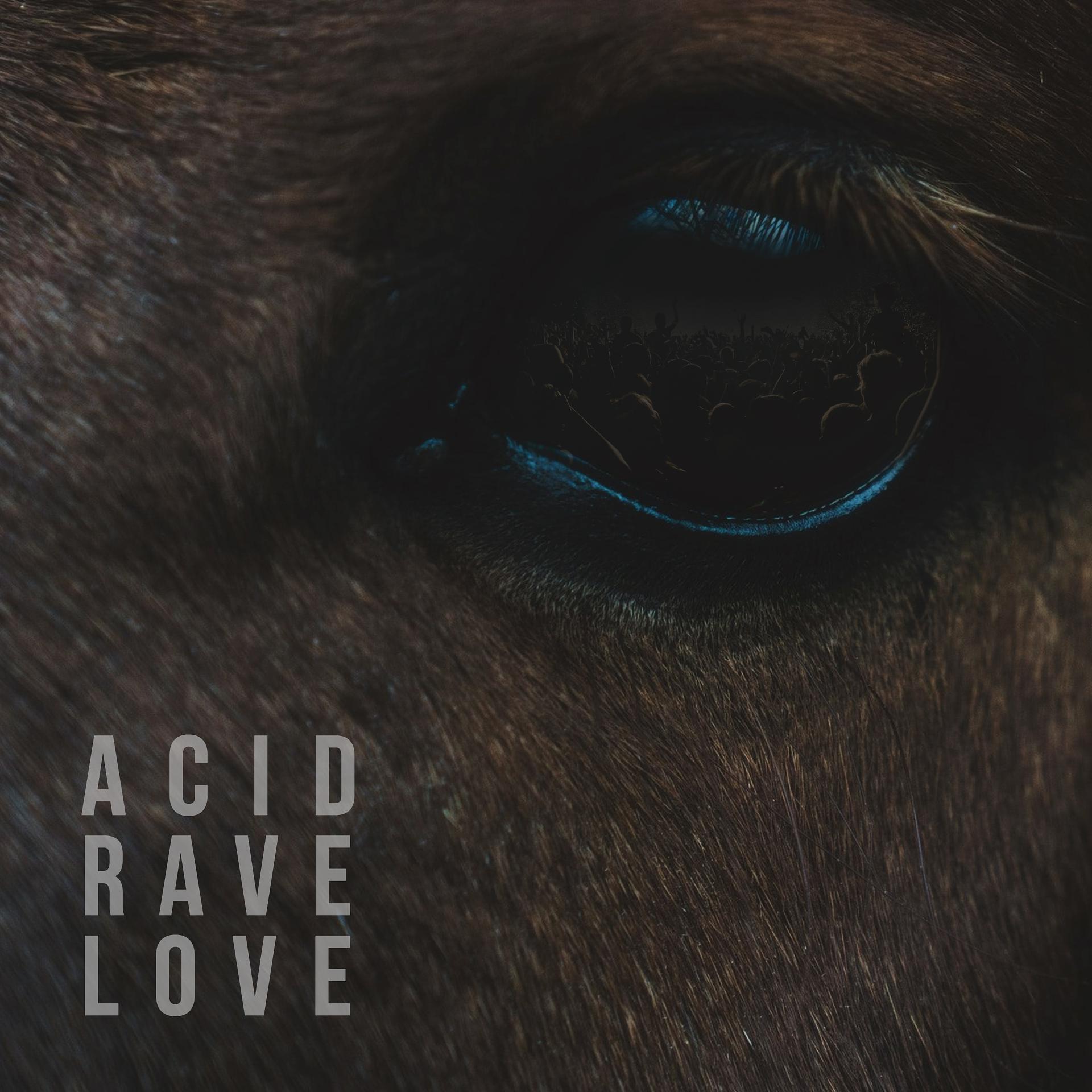 Постер альбома Acid. Rave. Love.