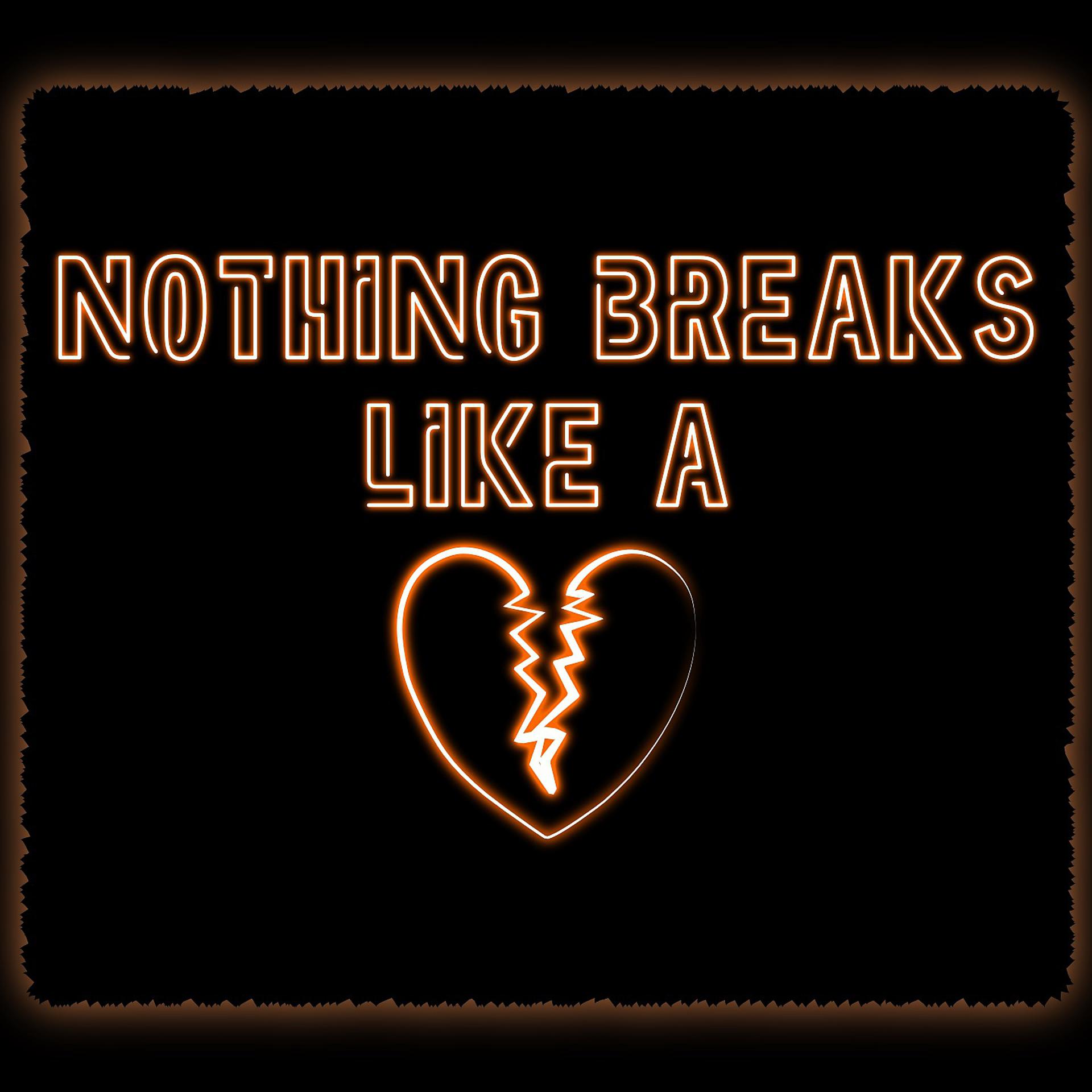 Постер альбома Nothing Breaks Like A Heart