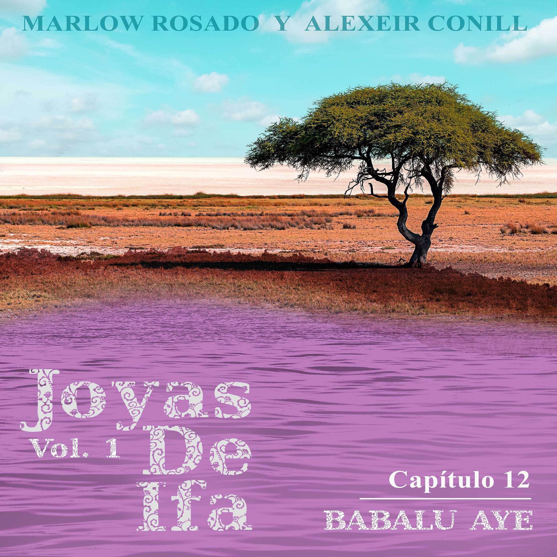 Постер альбома Babalu Aye (Joyas de Ifa Vol. 1 Capitulo 12)