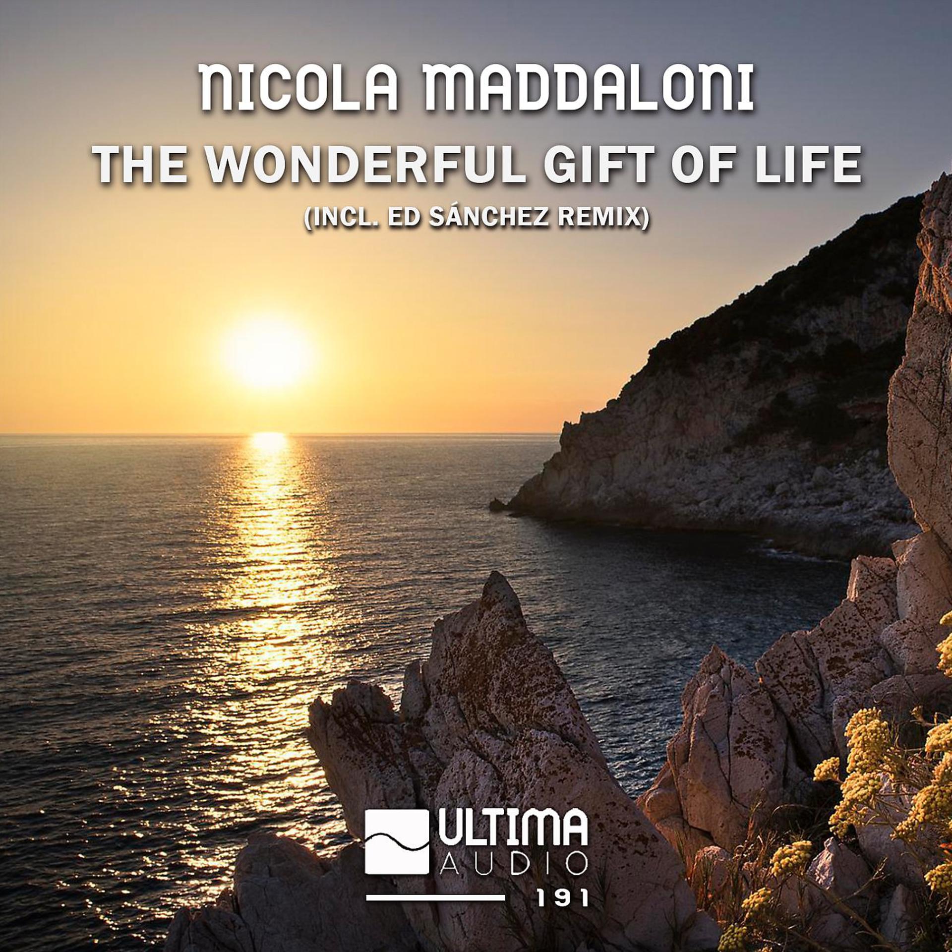 Постер альбома The Wonderful Gift Of Life