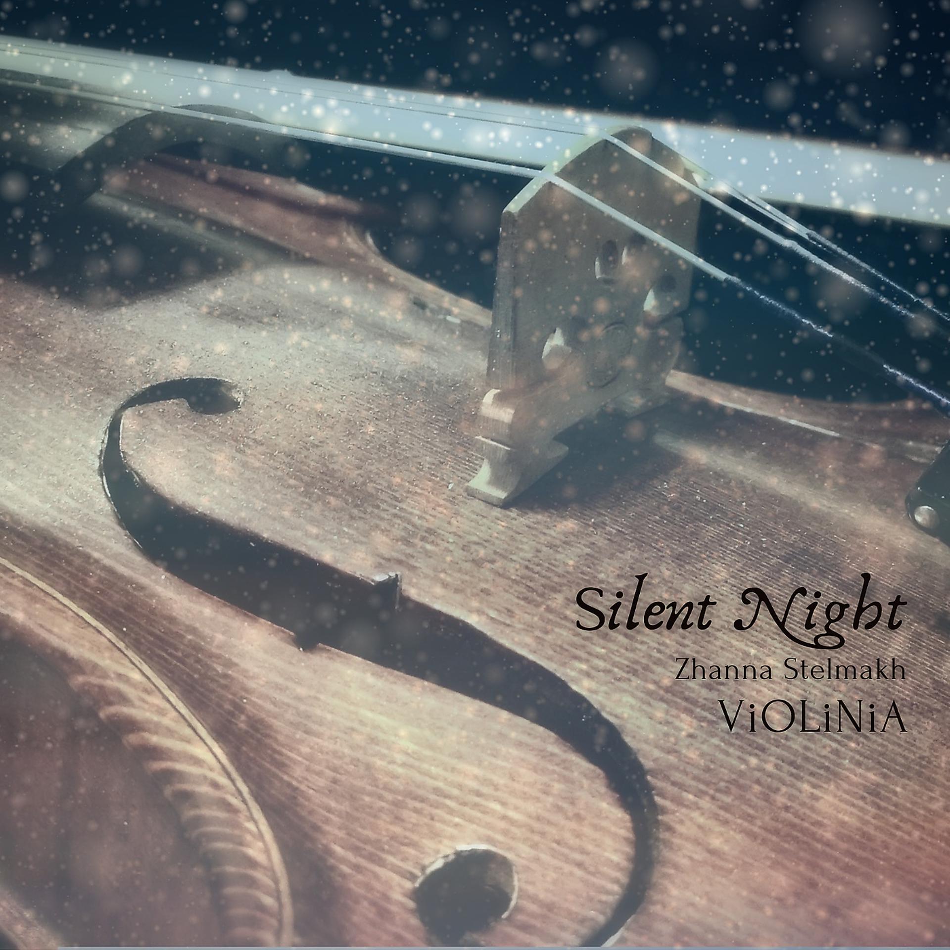 Постер альбома Silent Night (Violin Version)
