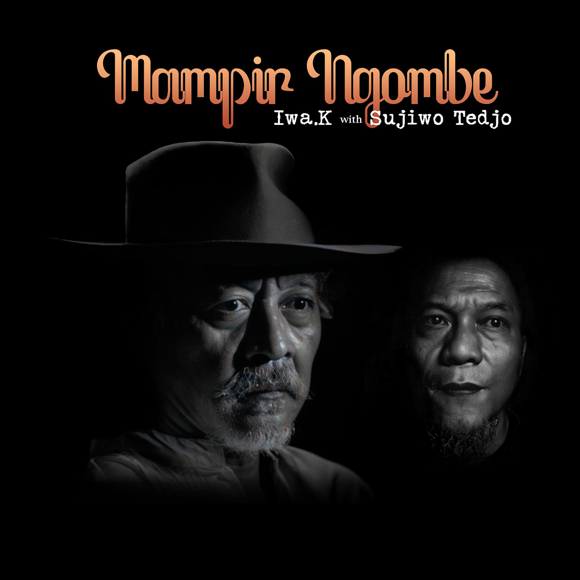 Постер альбома Mampir Ngombe