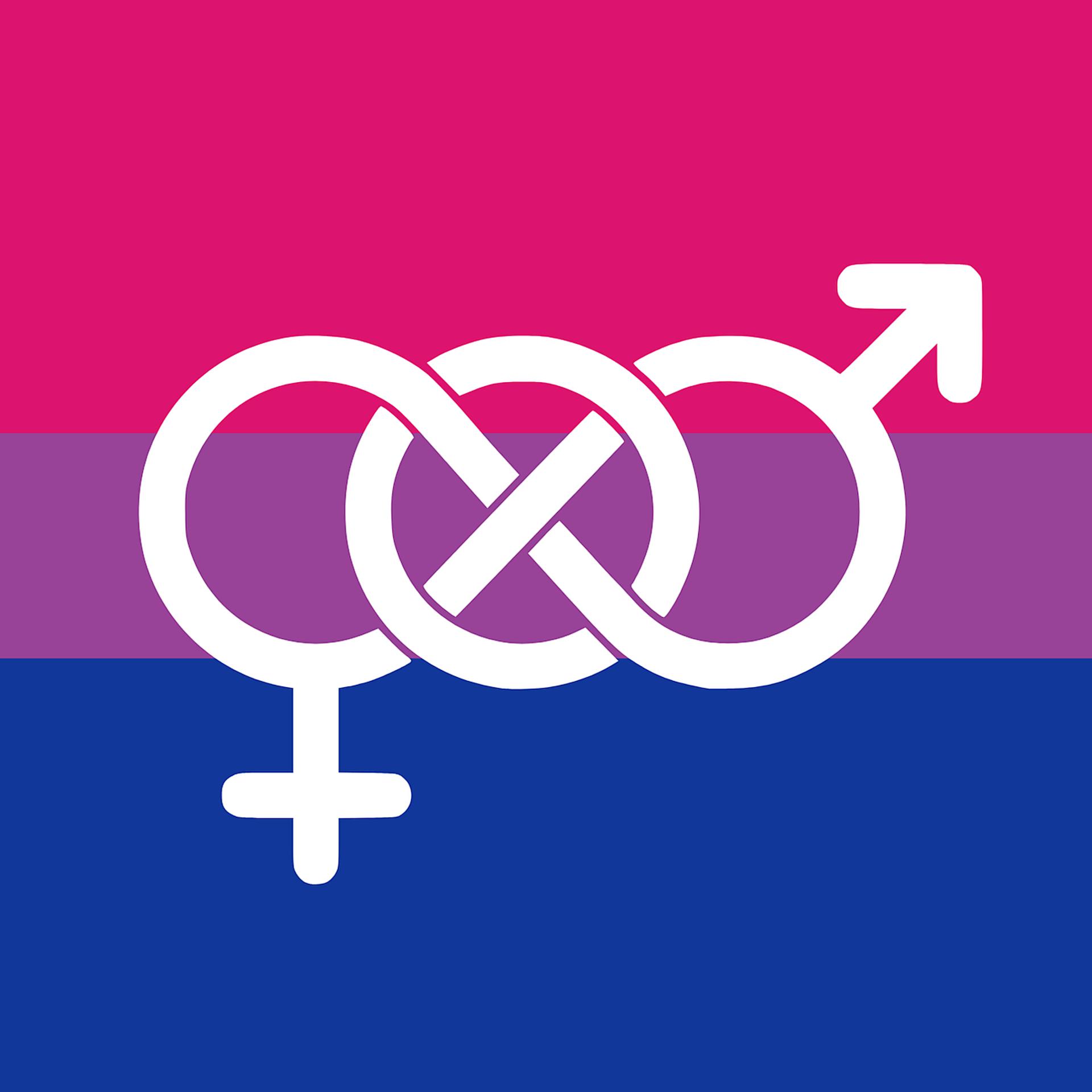 Постер альбома Bisexual Anthem