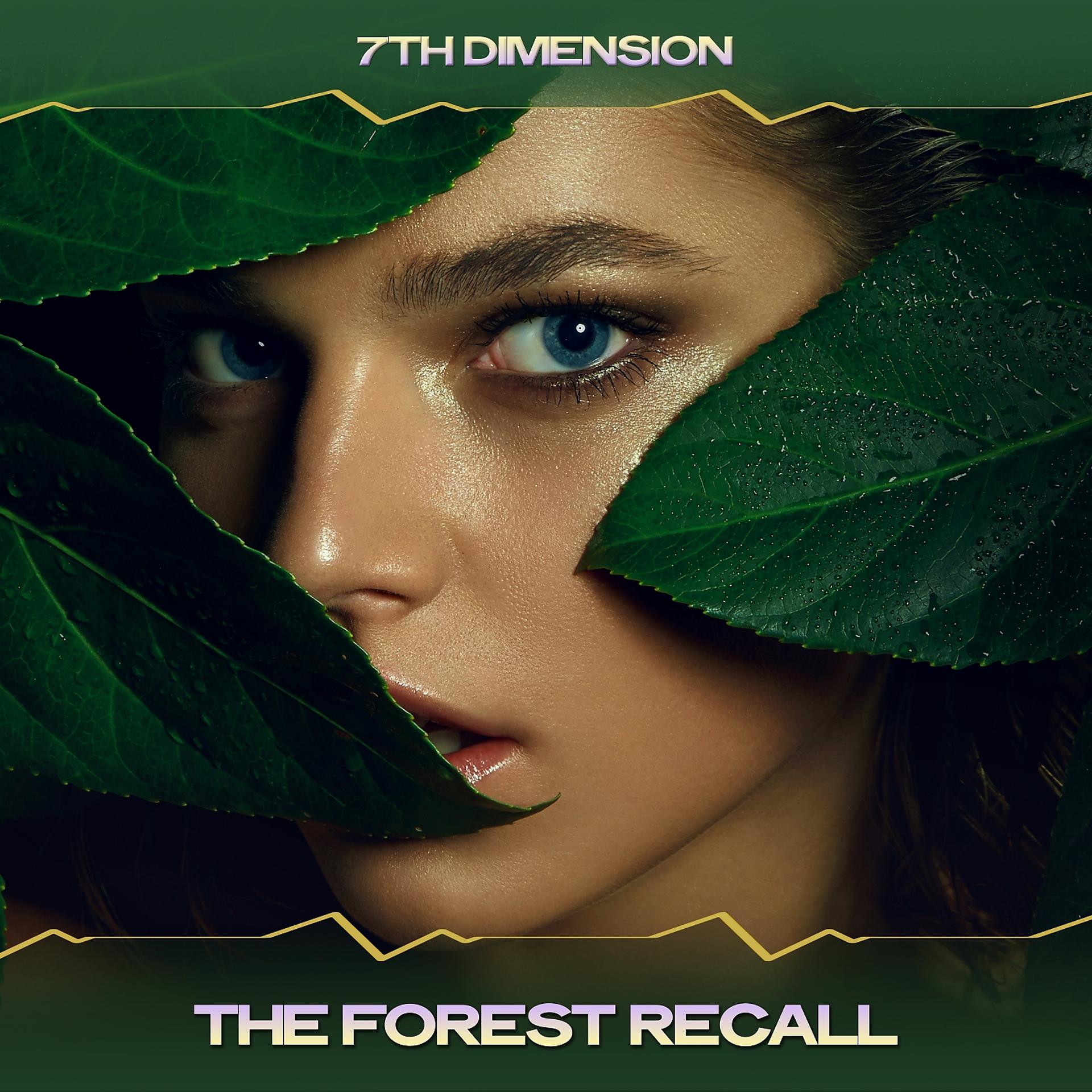 Постер альбома The Forest Recall