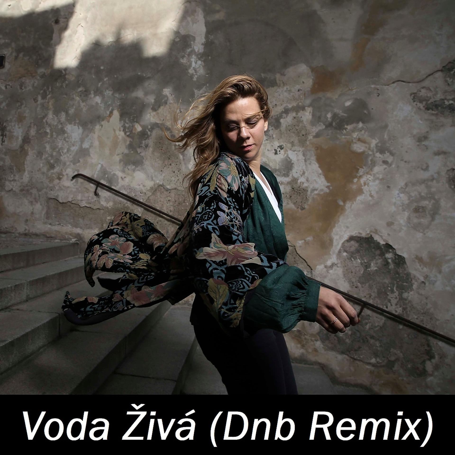 Постер альбома Voda Živá (Dnb Remix)