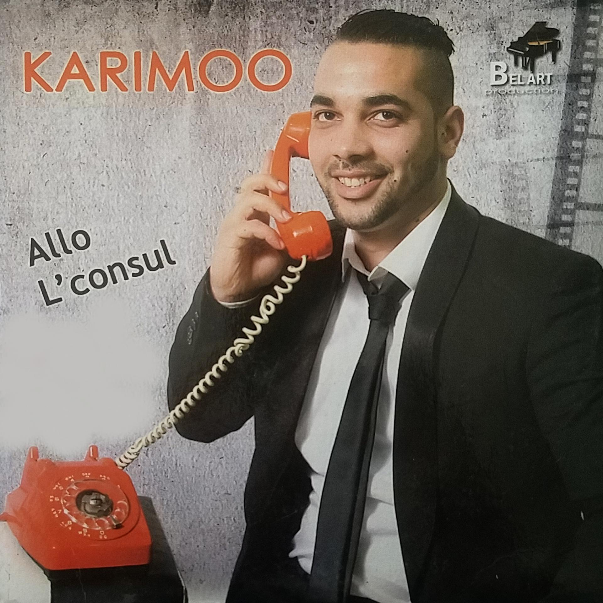 Постер альбома Allo L'consul