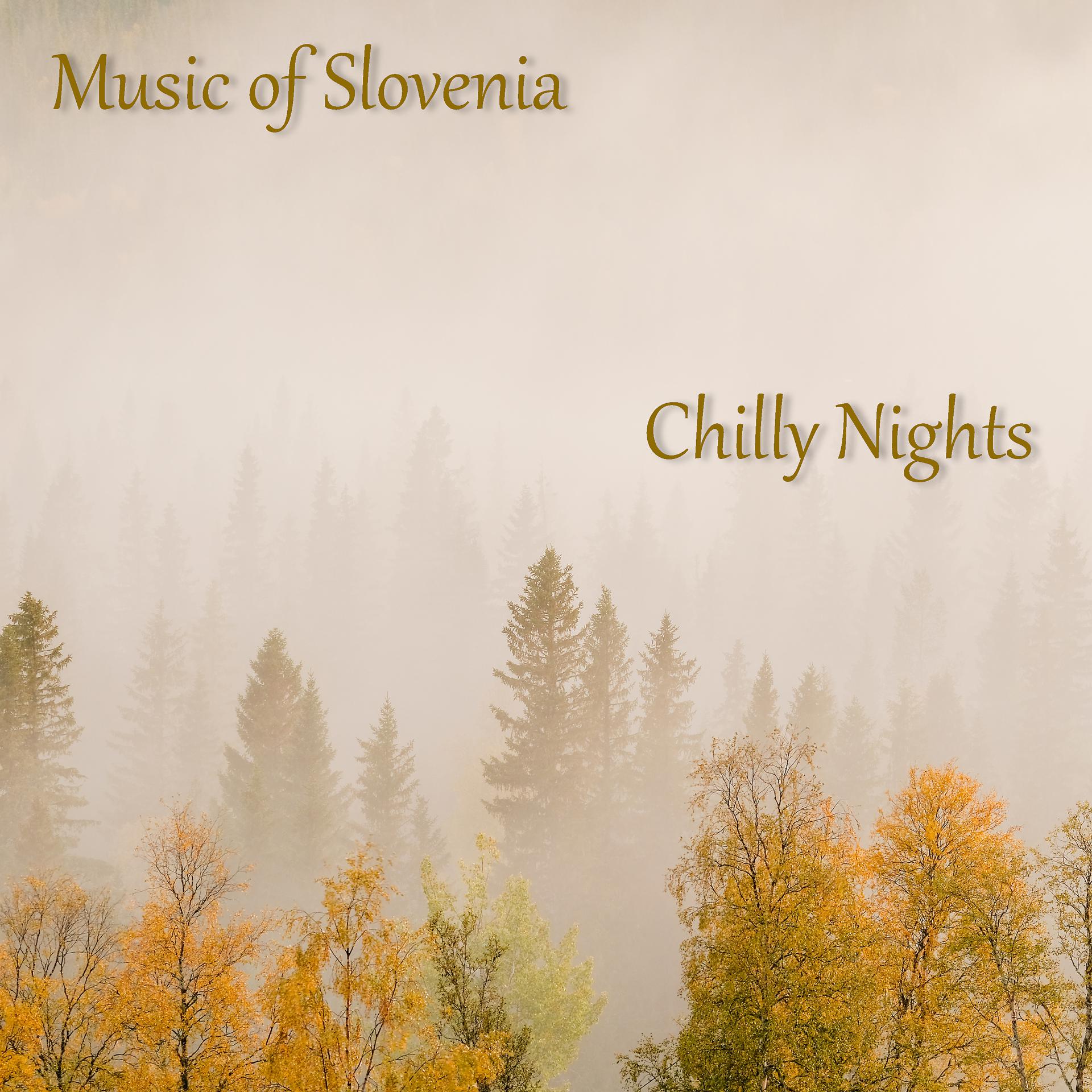 Постер альбома Music of Slovenia: Chilly Nights