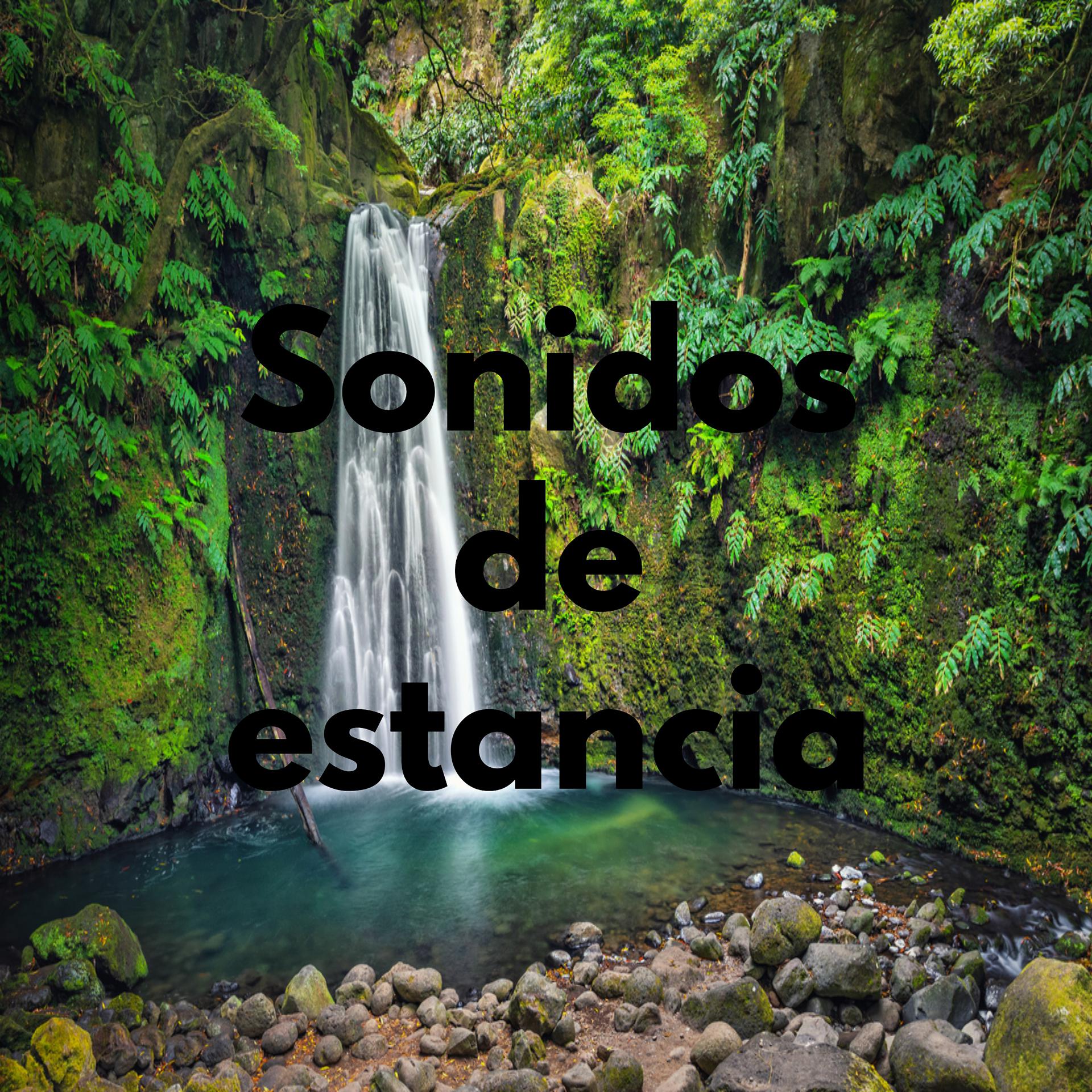 Постер альбома Sonidos de estancia
