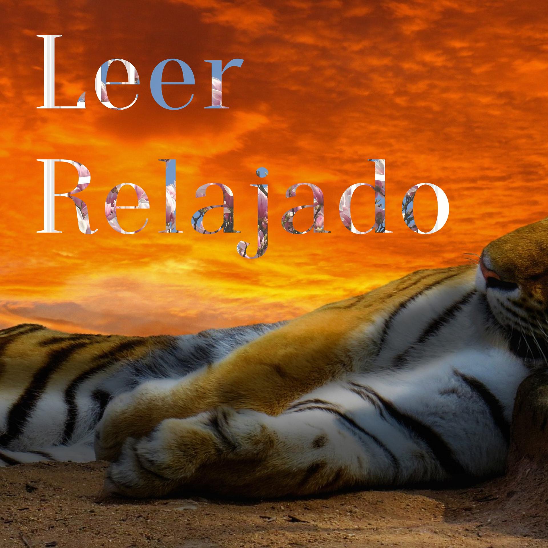 Постер альбома Leer Relajado