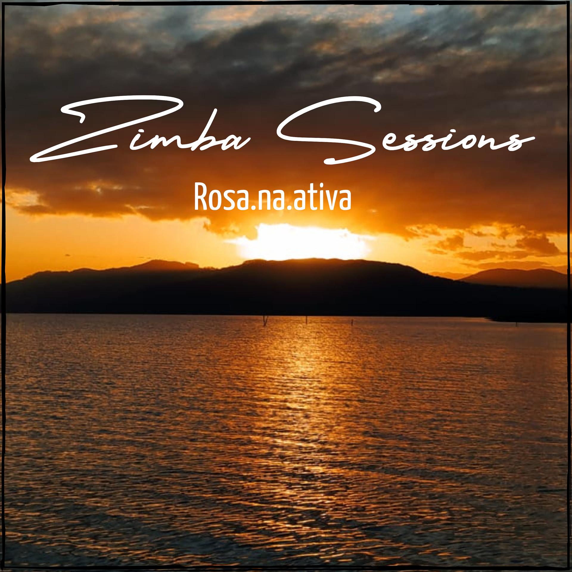 Постер альбома Na-Ativa Zimba Sessions