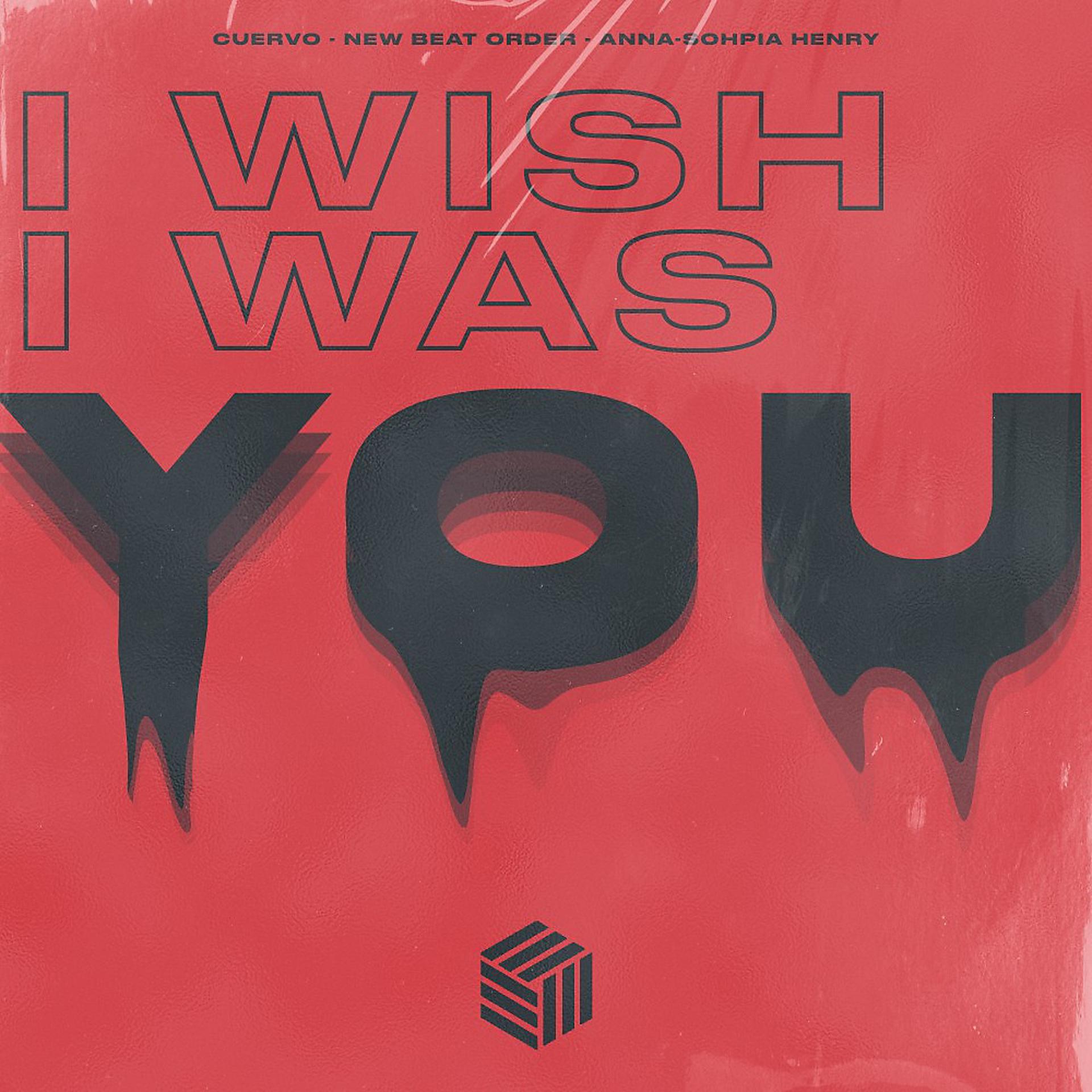 Постер альбома I Wish I Was U