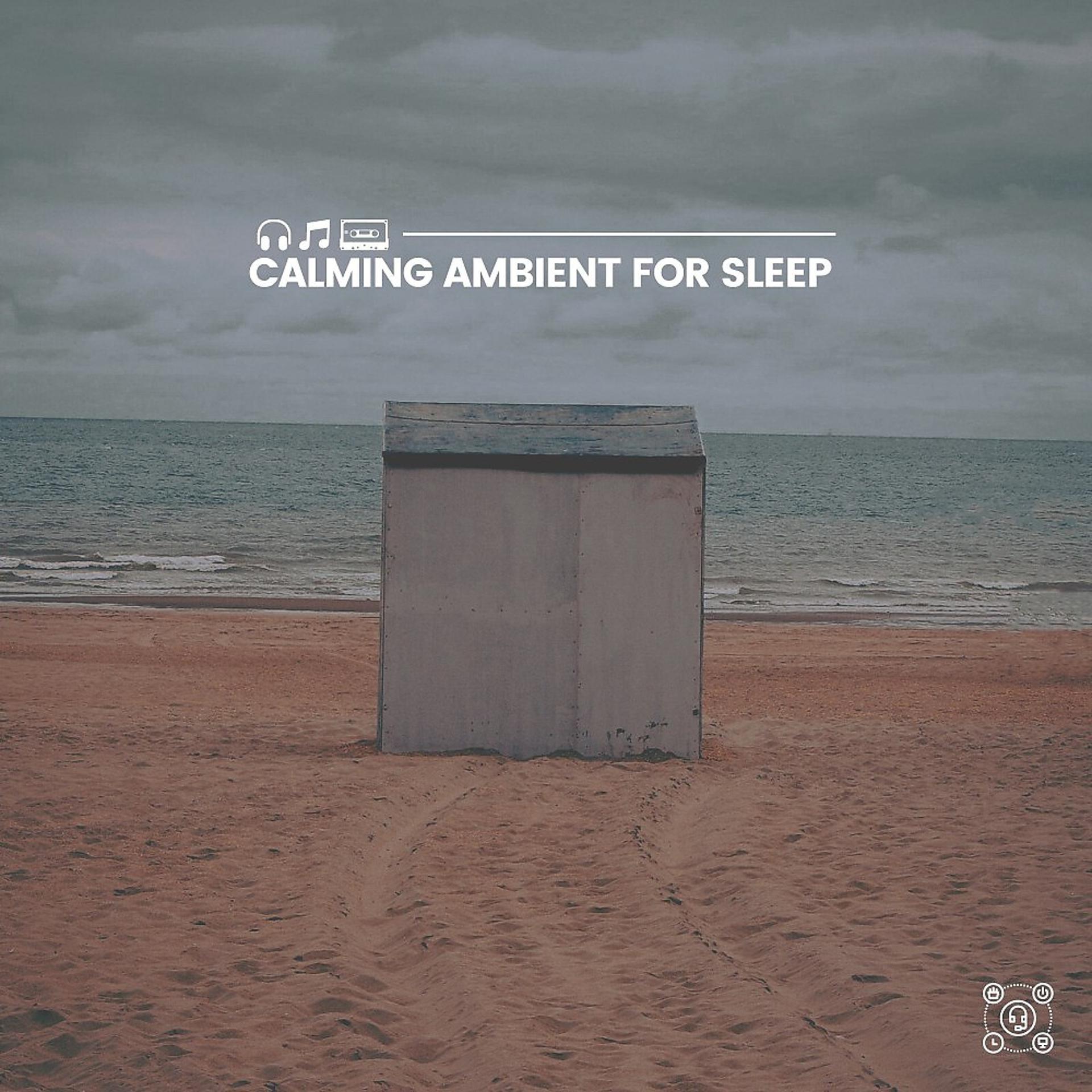 Постер альбома Calming Ambient for Sleep