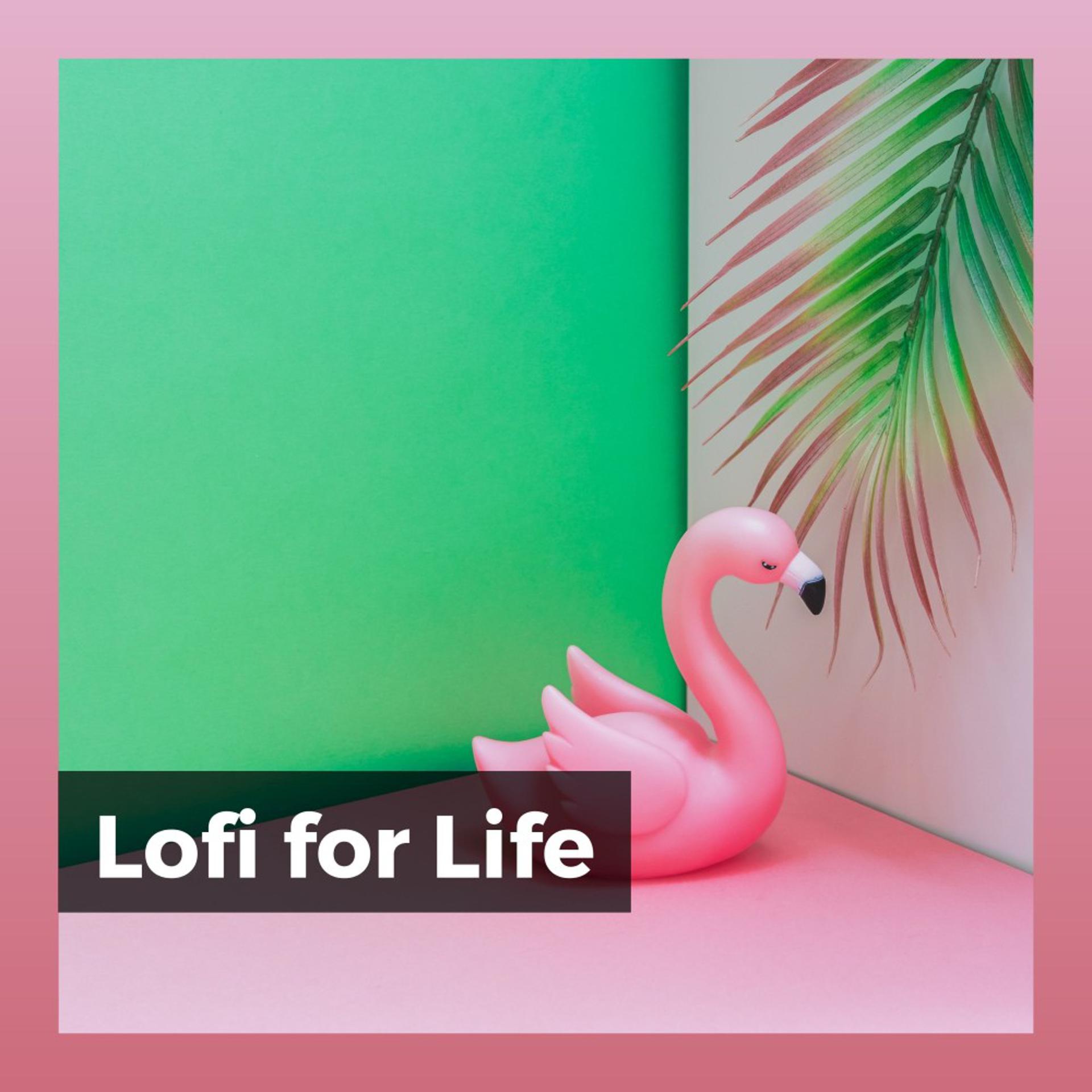 Постер альбома Lofi for Life