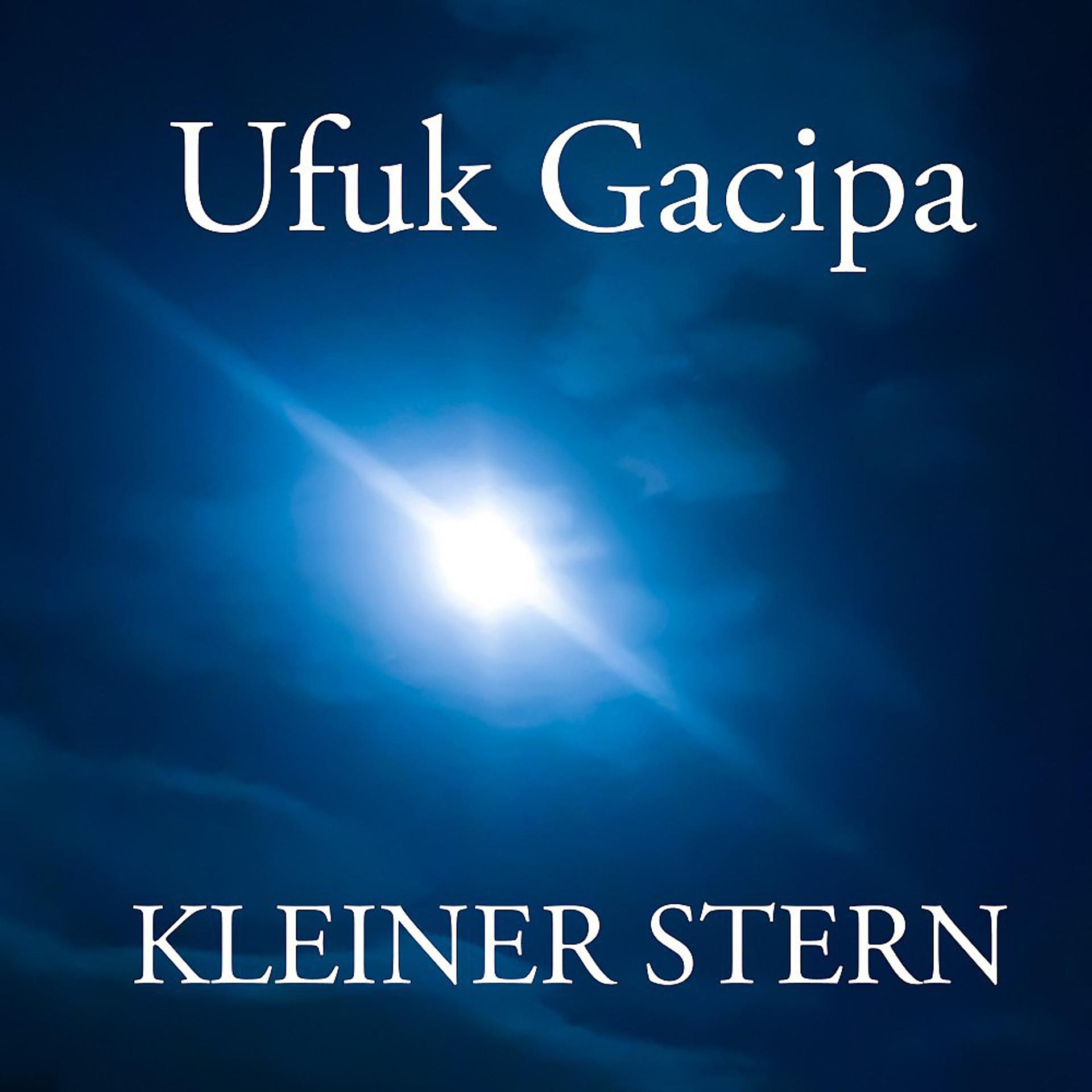 Постер альбома Kleiner Stern