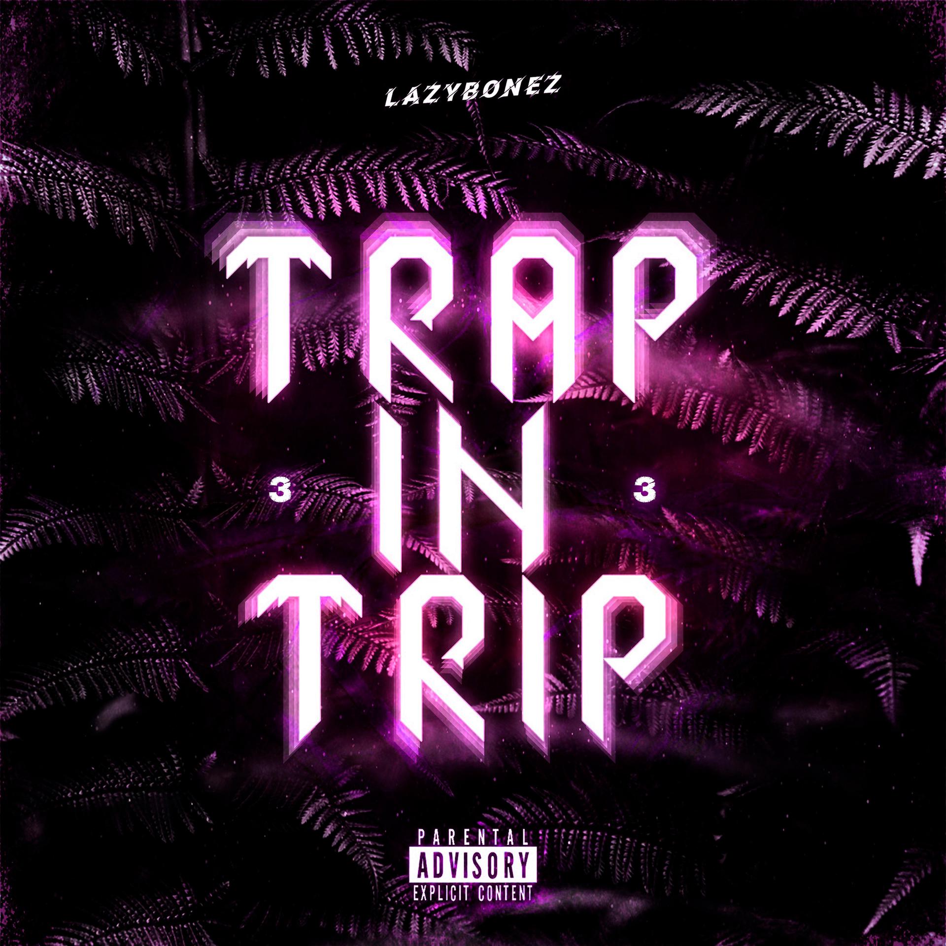 Постер альбома Trap in Trip 3