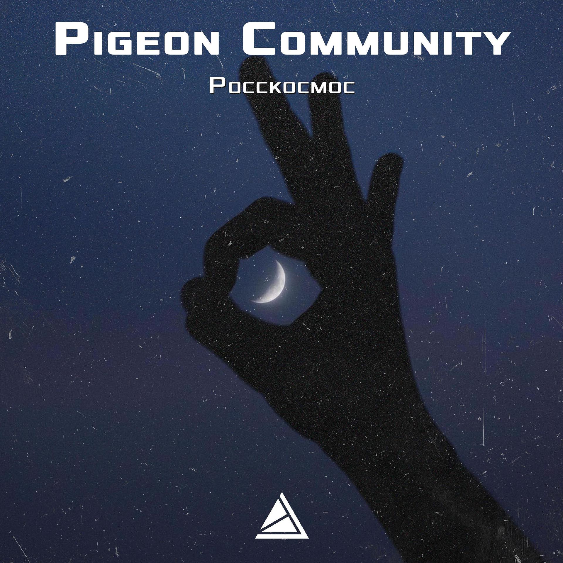 Постер к треку Pigeon Community - Росскосмос