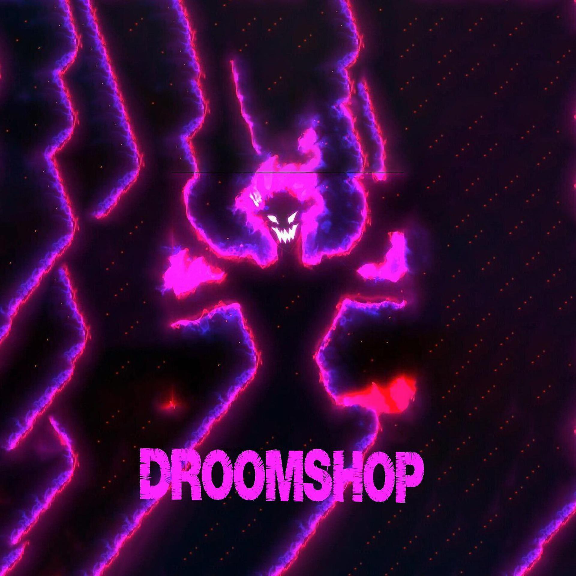 Постер альбома Droomshop