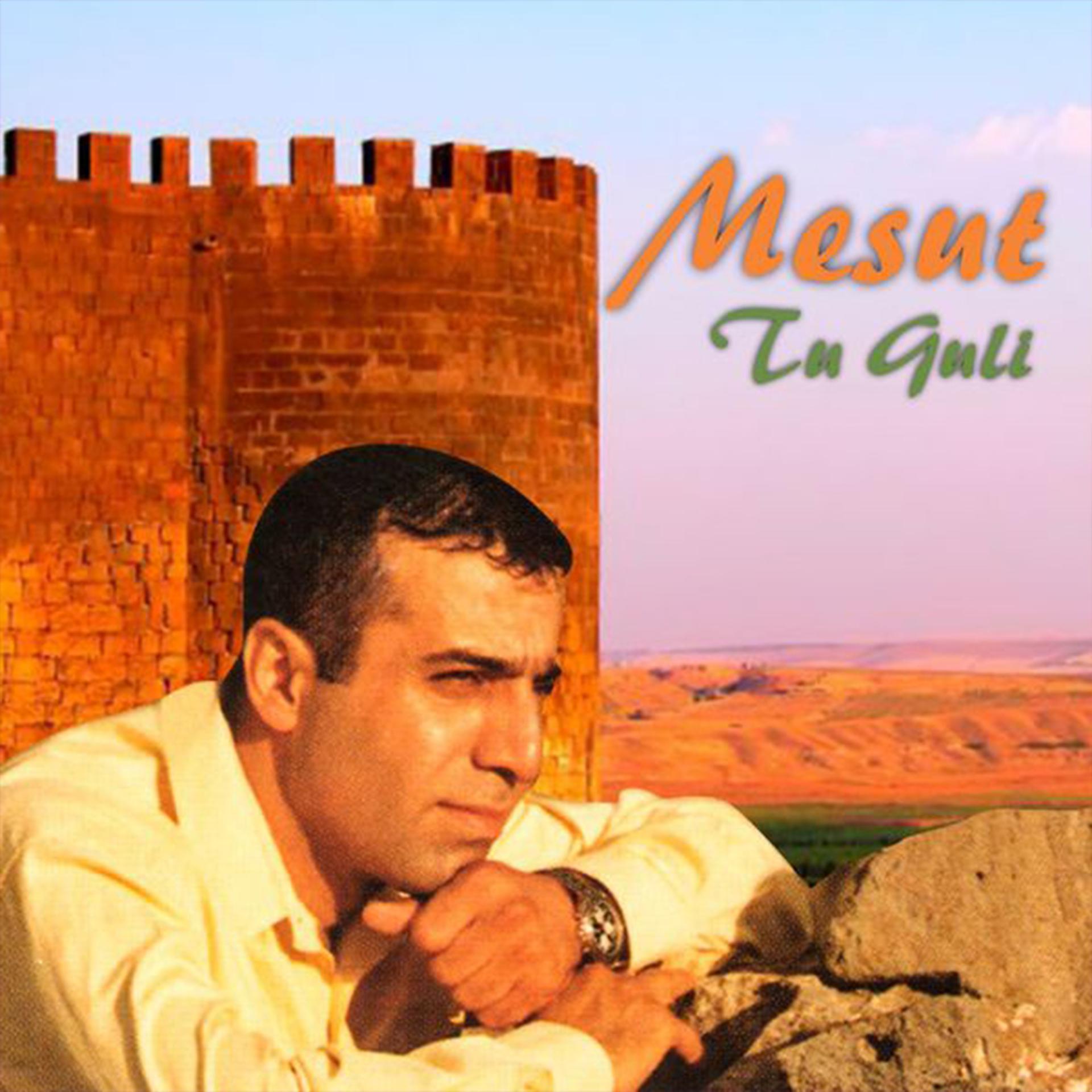 Постер альбома Tu Guli