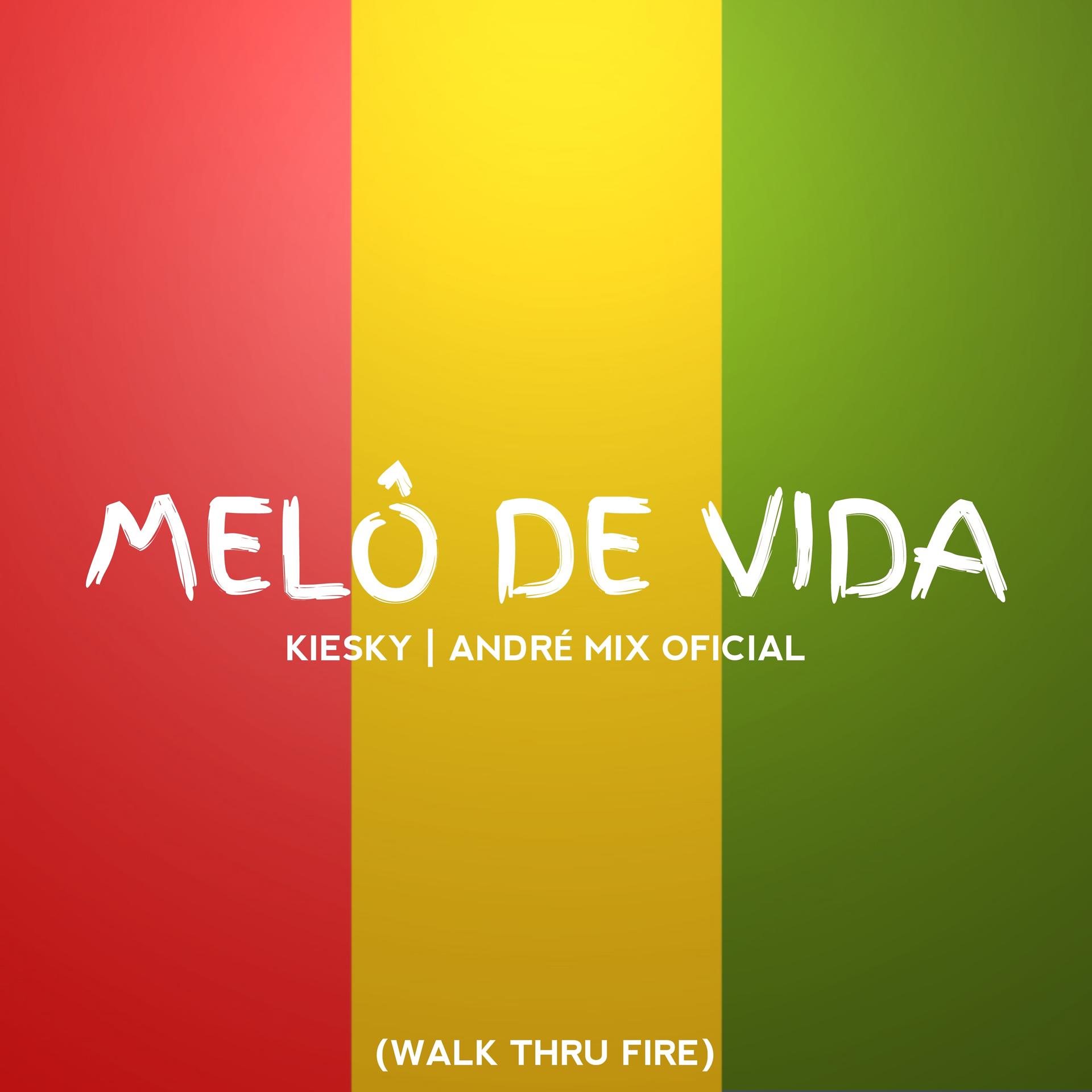 Постер альбома Melô de Vida (Walk Thru Fire)