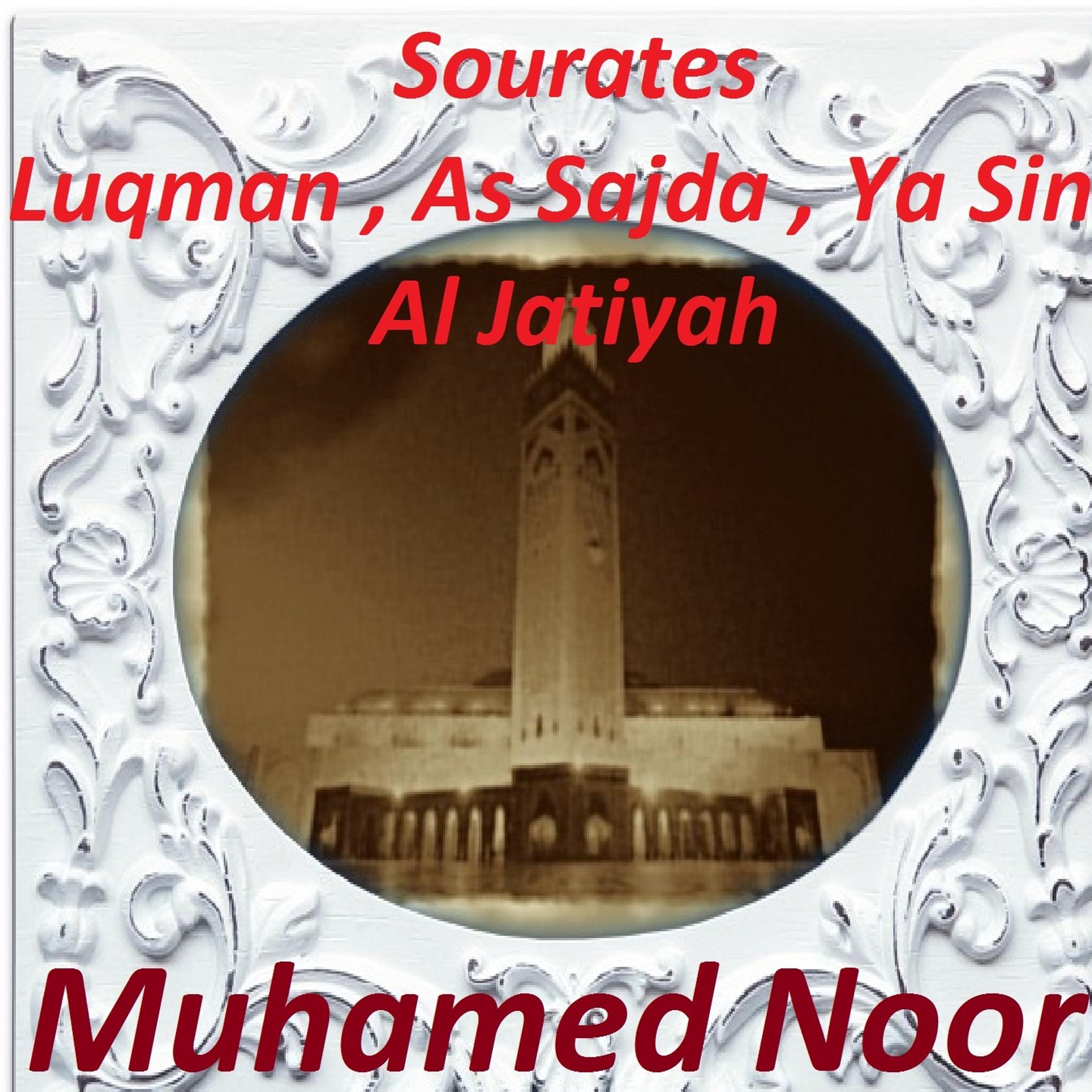 Постер альбома Sourates Luqman, As Sajda, Ya Sin, Al Jatiyah
