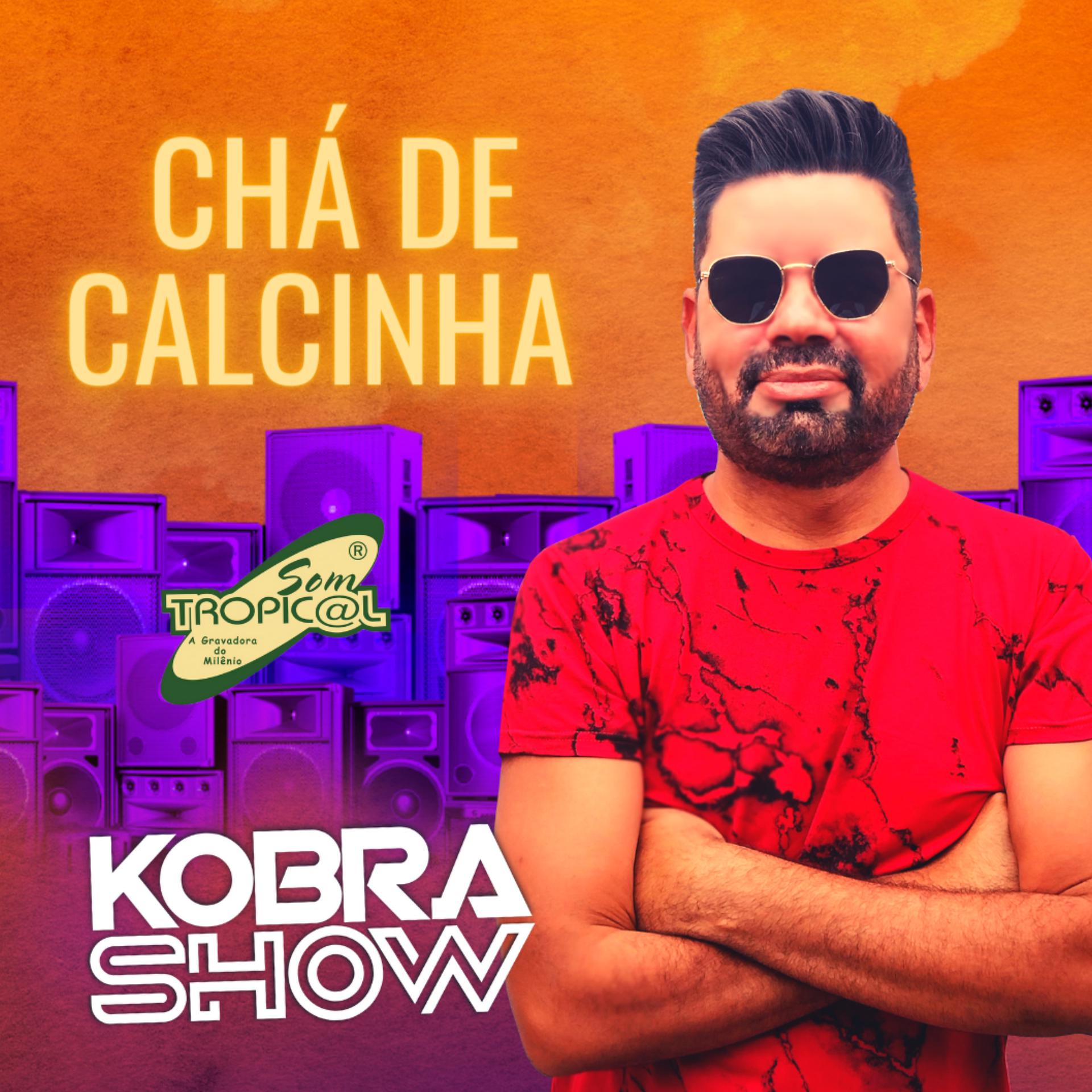 Постер альбома Chá de Calcinha