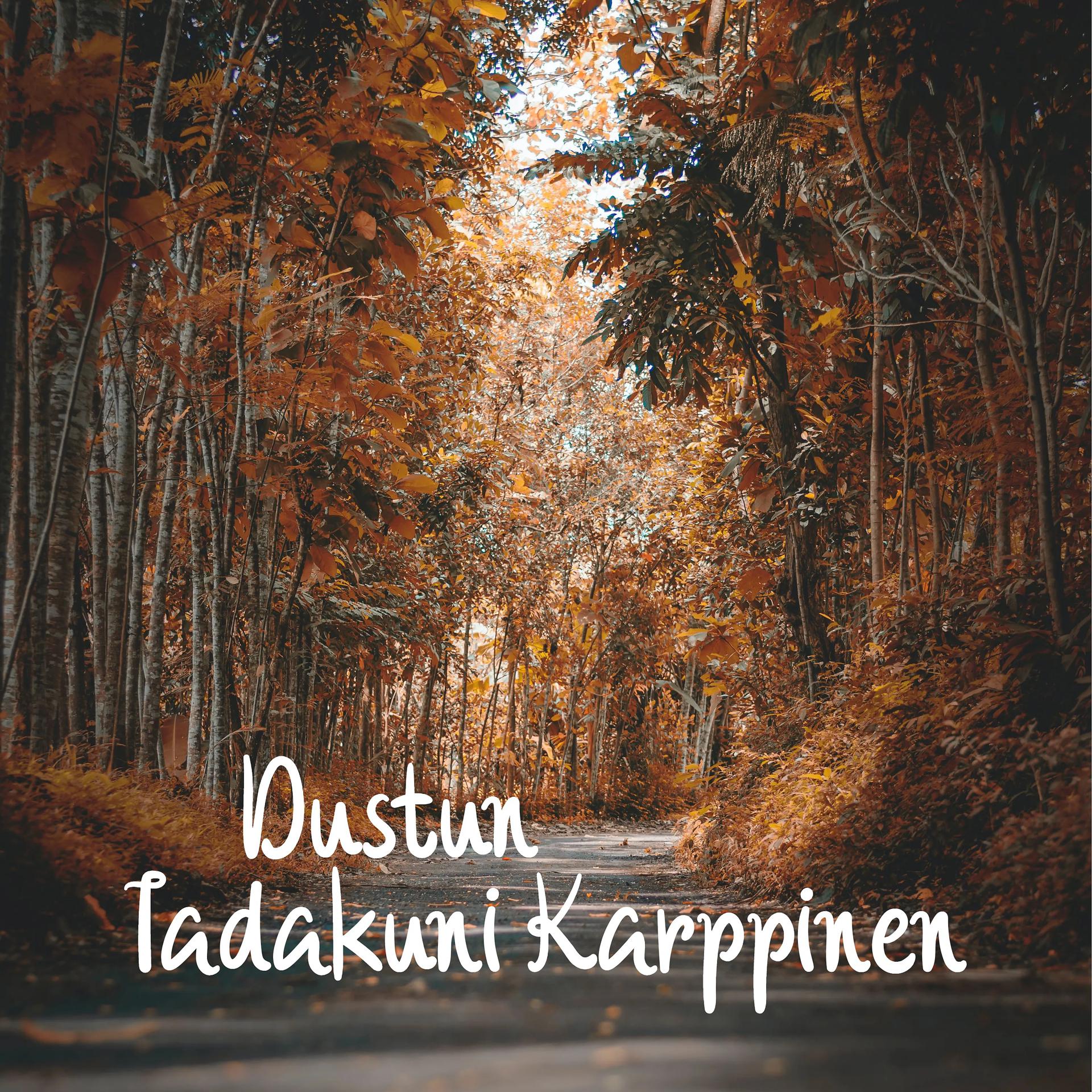 Постер альбома Dustun