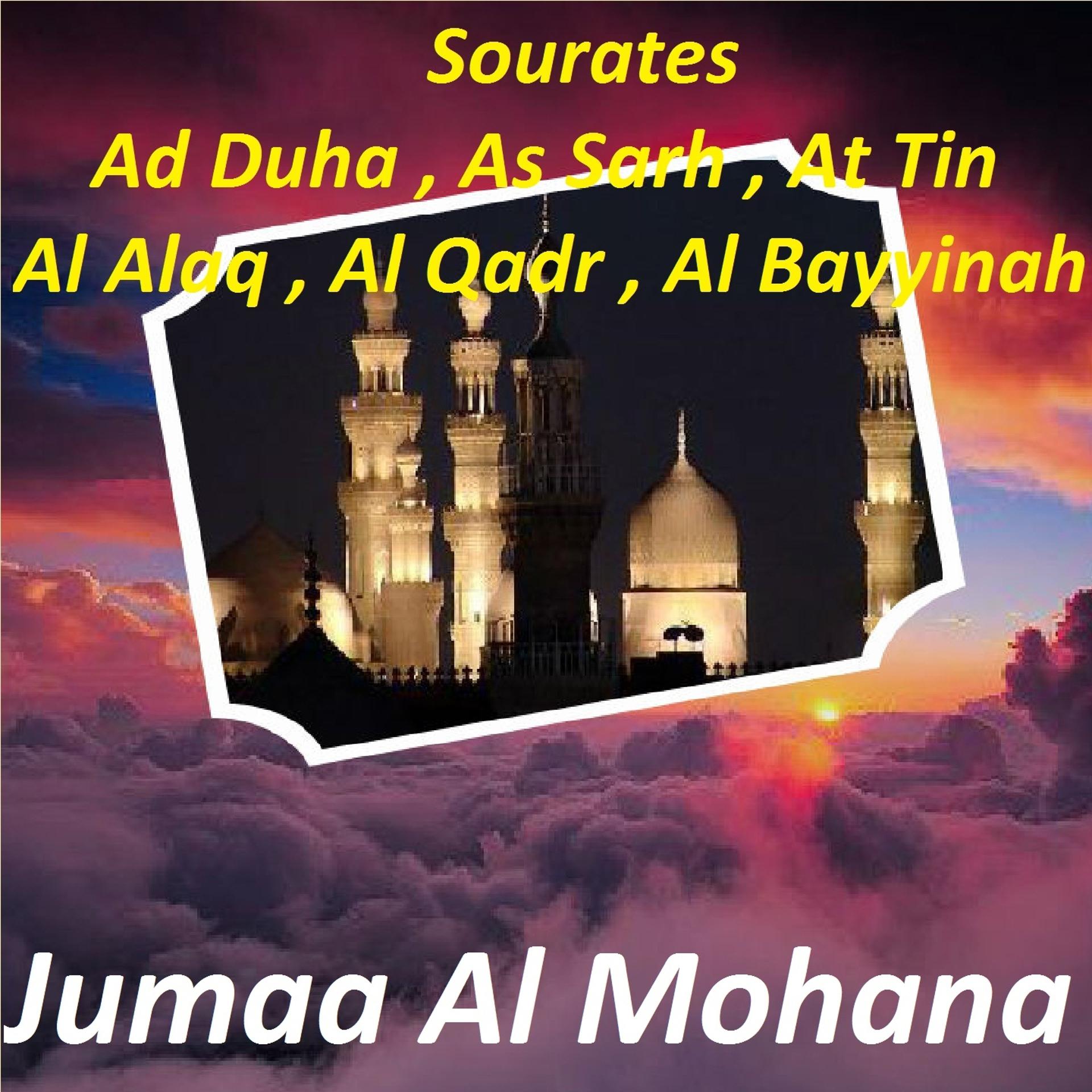 Постер альбома Sourates Ad Duha, As Sarh, At Tin, Al Alaq, Al Qadr, Al Bayyinah