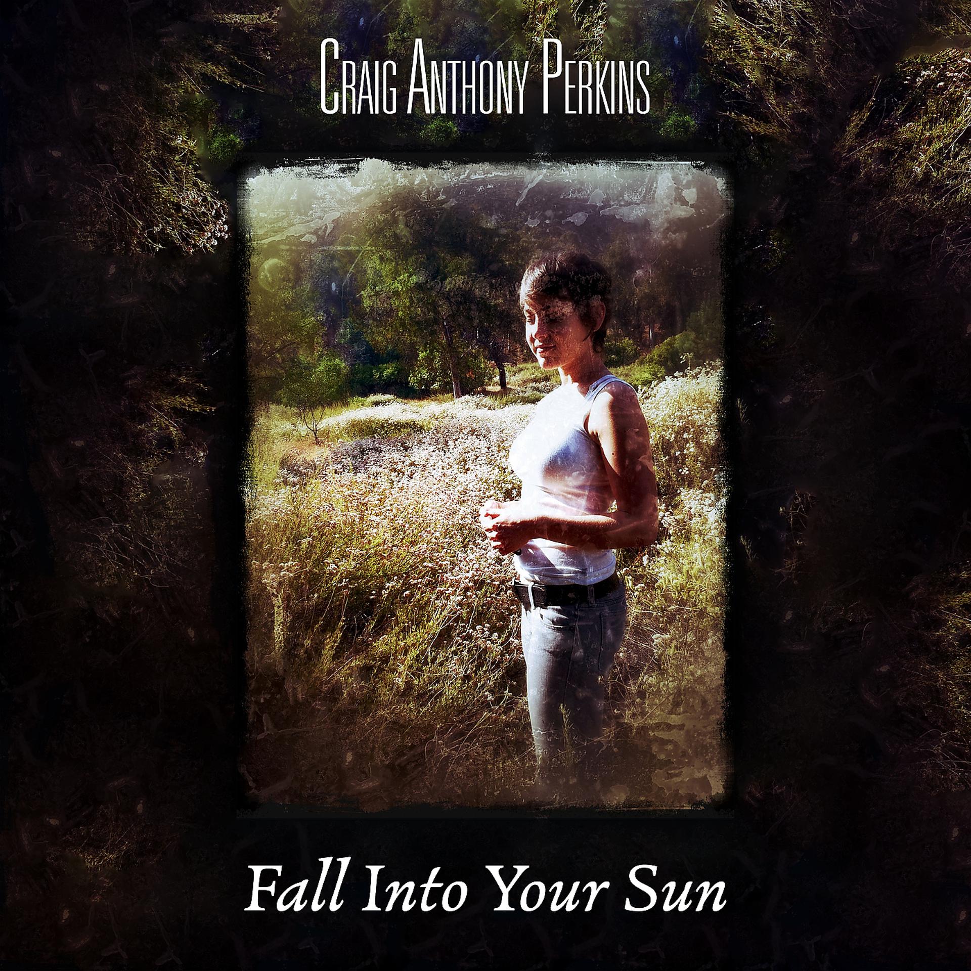 Постер альбома Fall into Your Sun