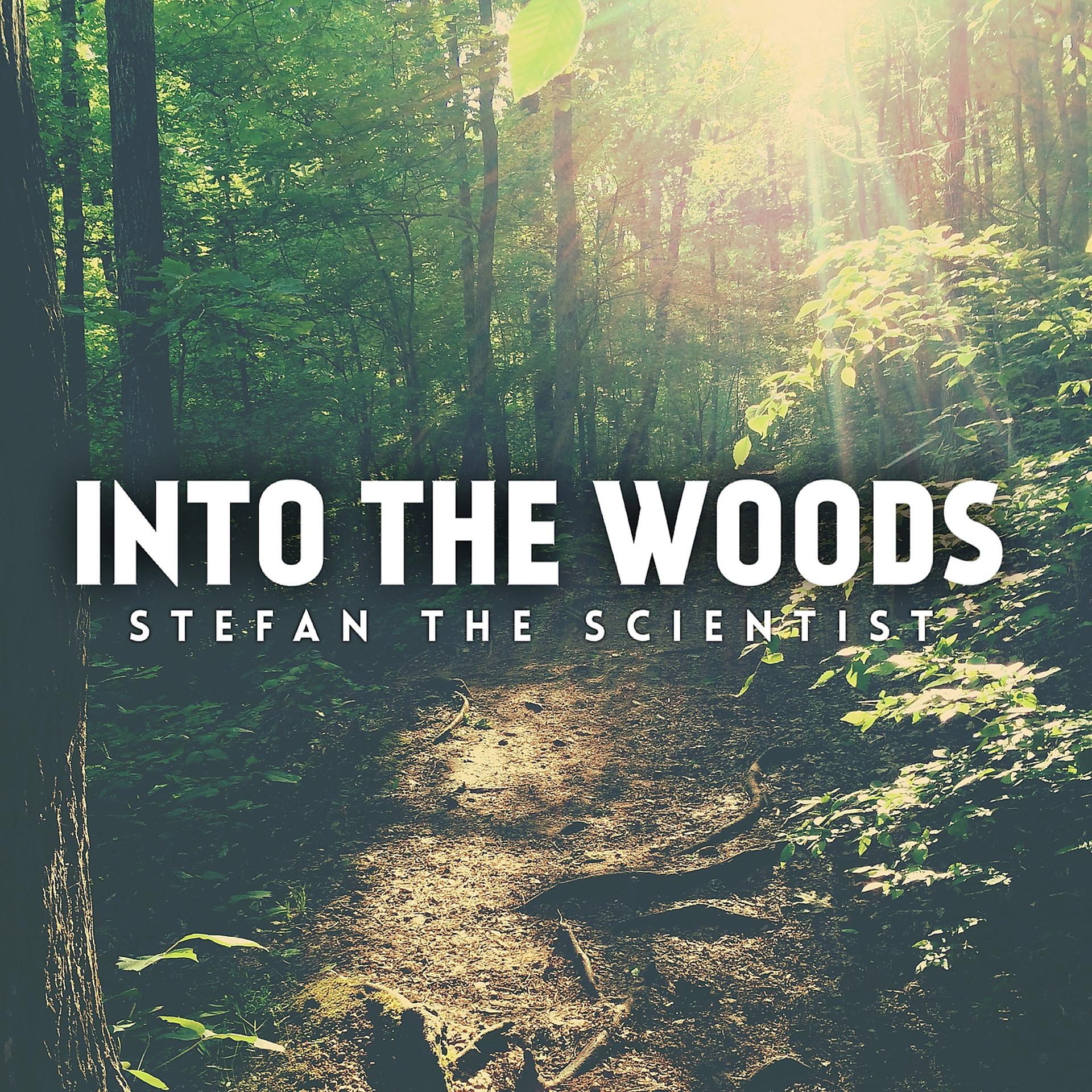 Постер альбома Into the Woods