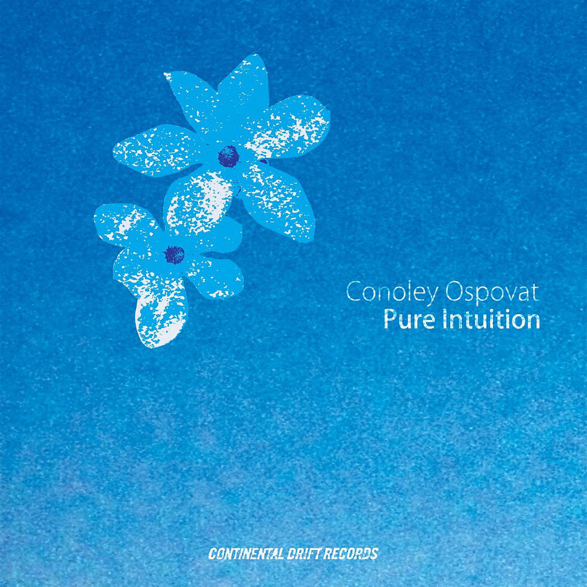 Постер альбома Pure Intuition