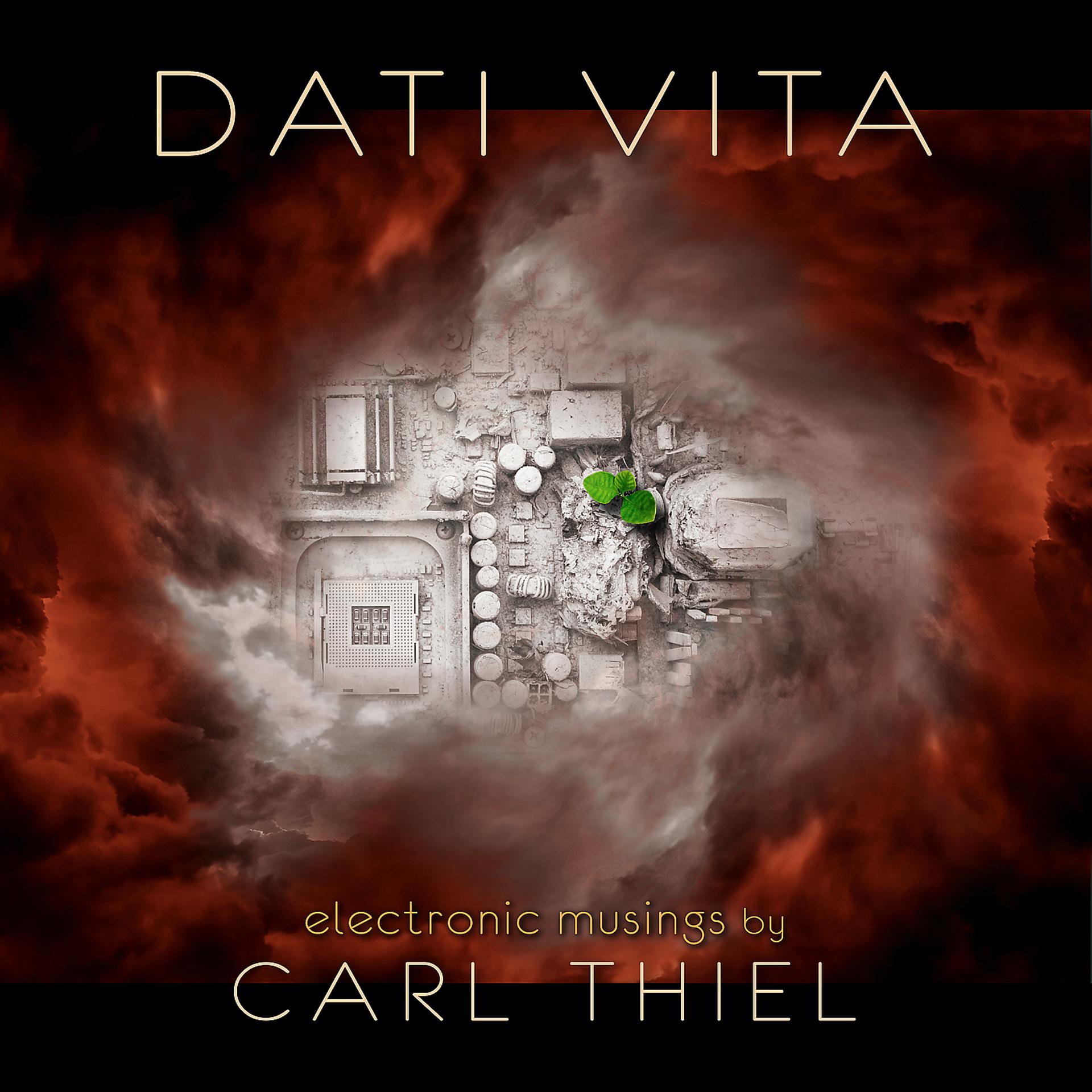 Постер альбома Dati Vita (Electronic Musings)
