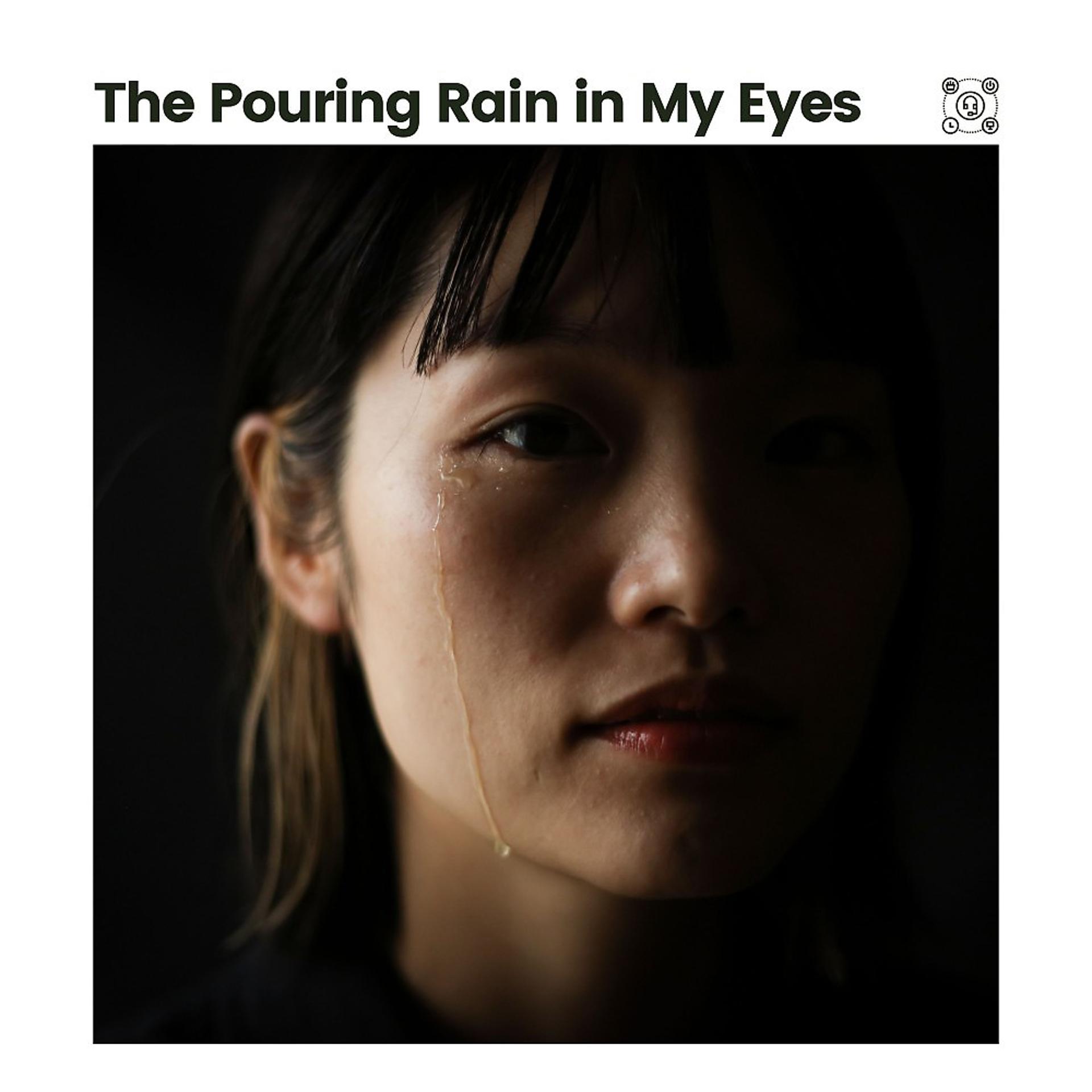 Постер альбома The Pouring Rain in My Eyes
