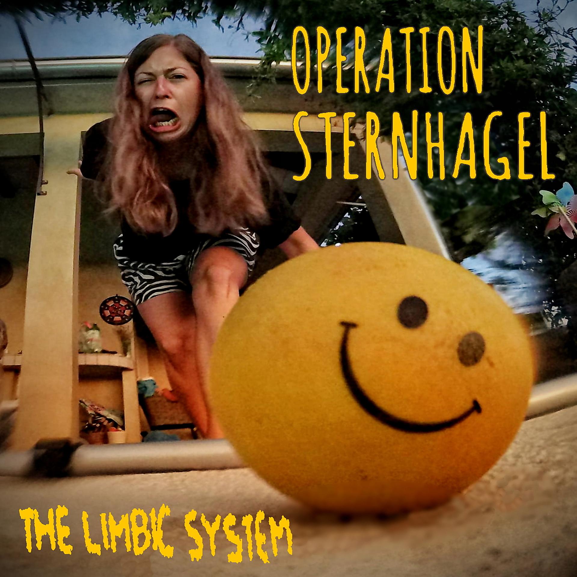 Постер альбома Operation Sternhagel