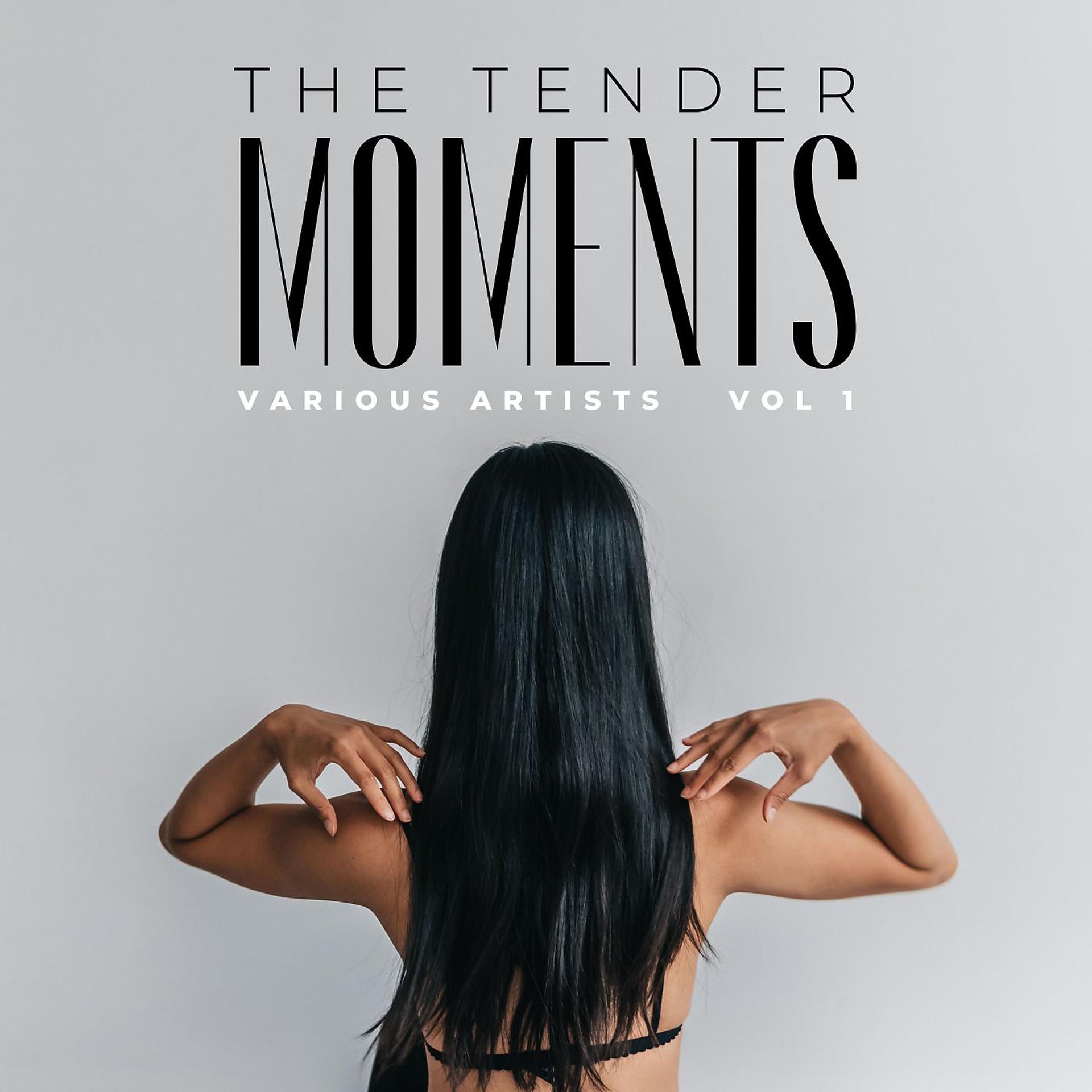 Постер альбома The Tender Moments, Vol. 1