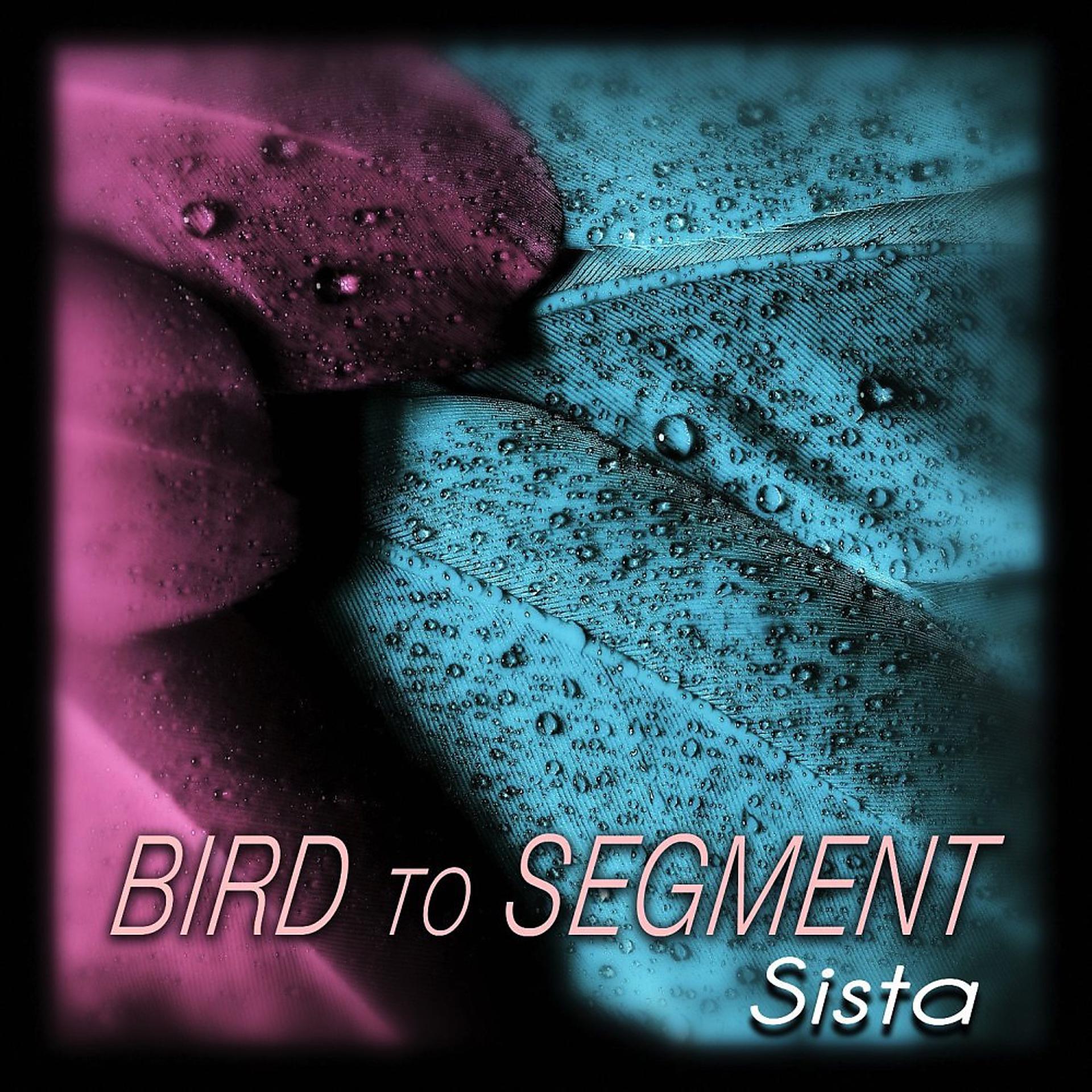 Постер альбома Bird to Segment