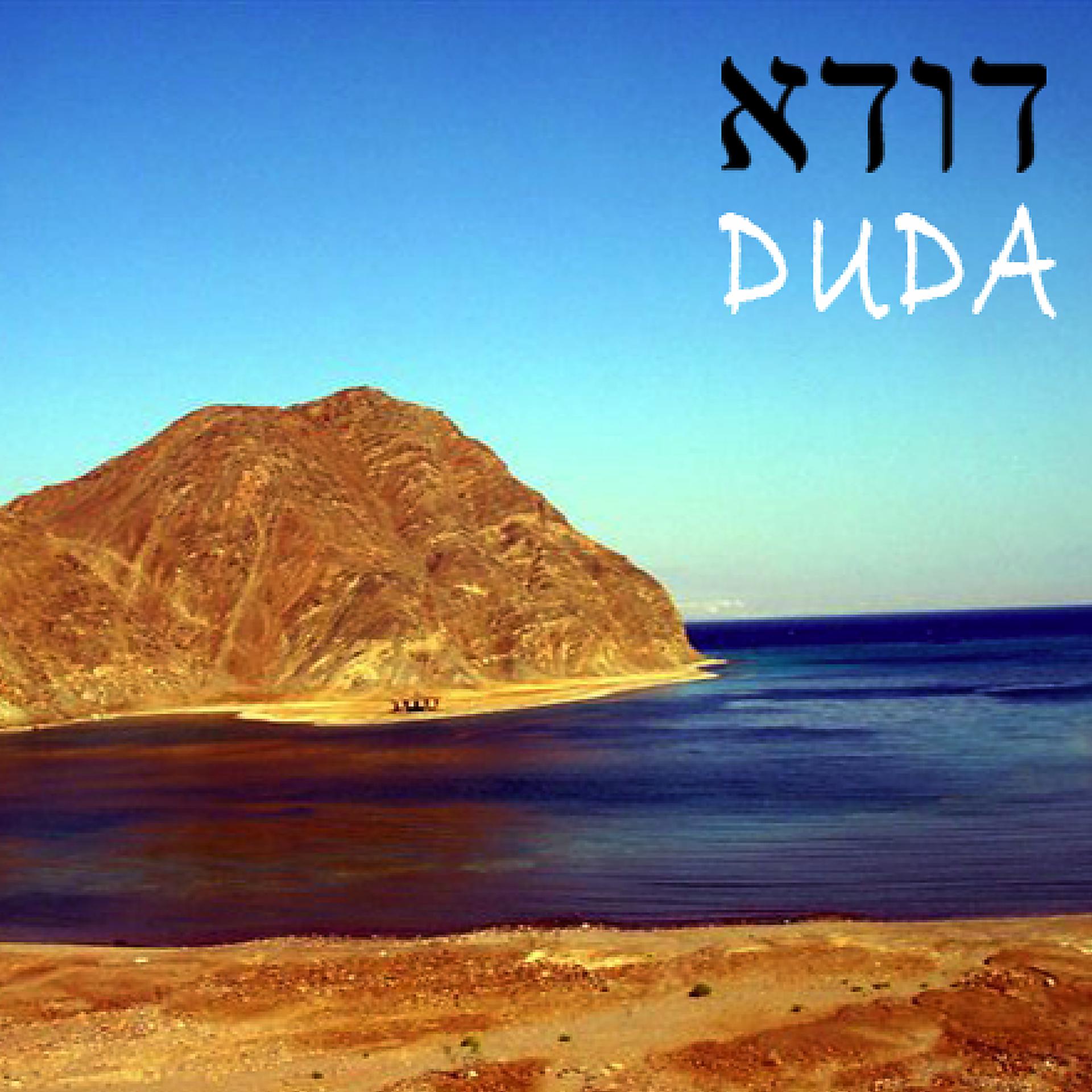Постер альбома DuDa