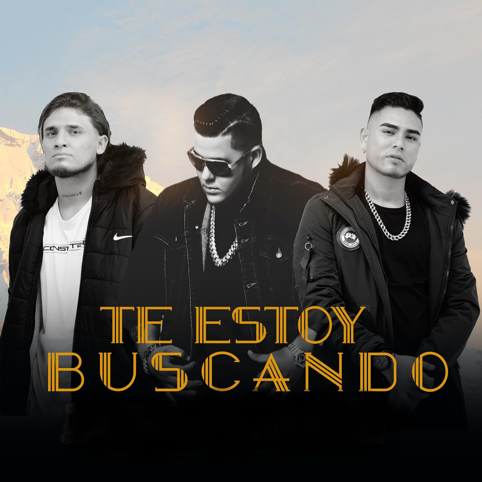 Постер альбома Te Estoy Buscando