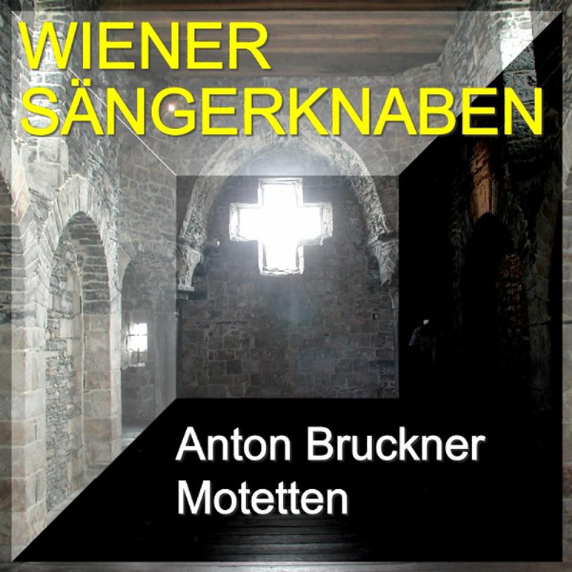 Постер альбома Anton Bruckner Motetten