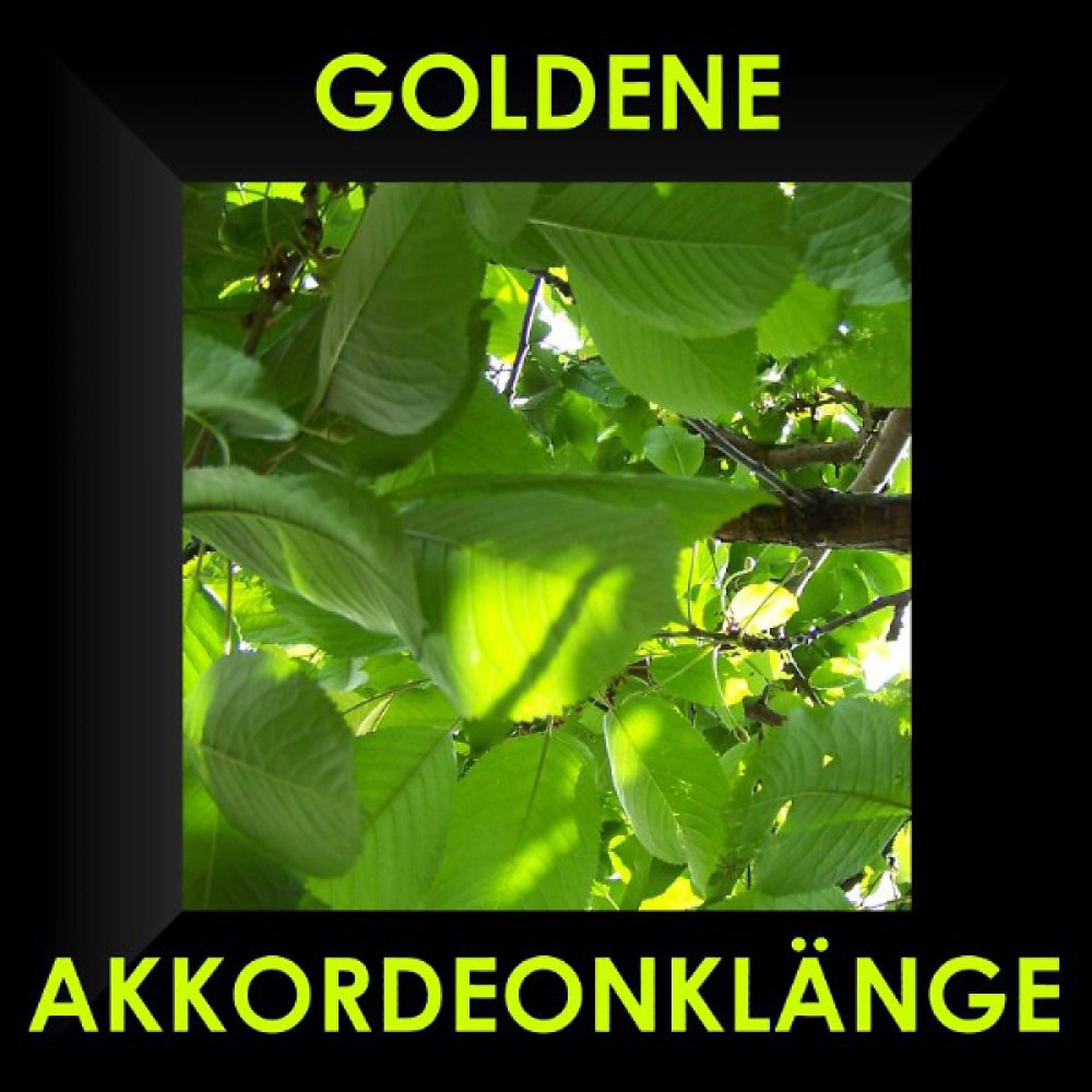 Постер альбома Goldene Akkordeon Klänge - Accordeon