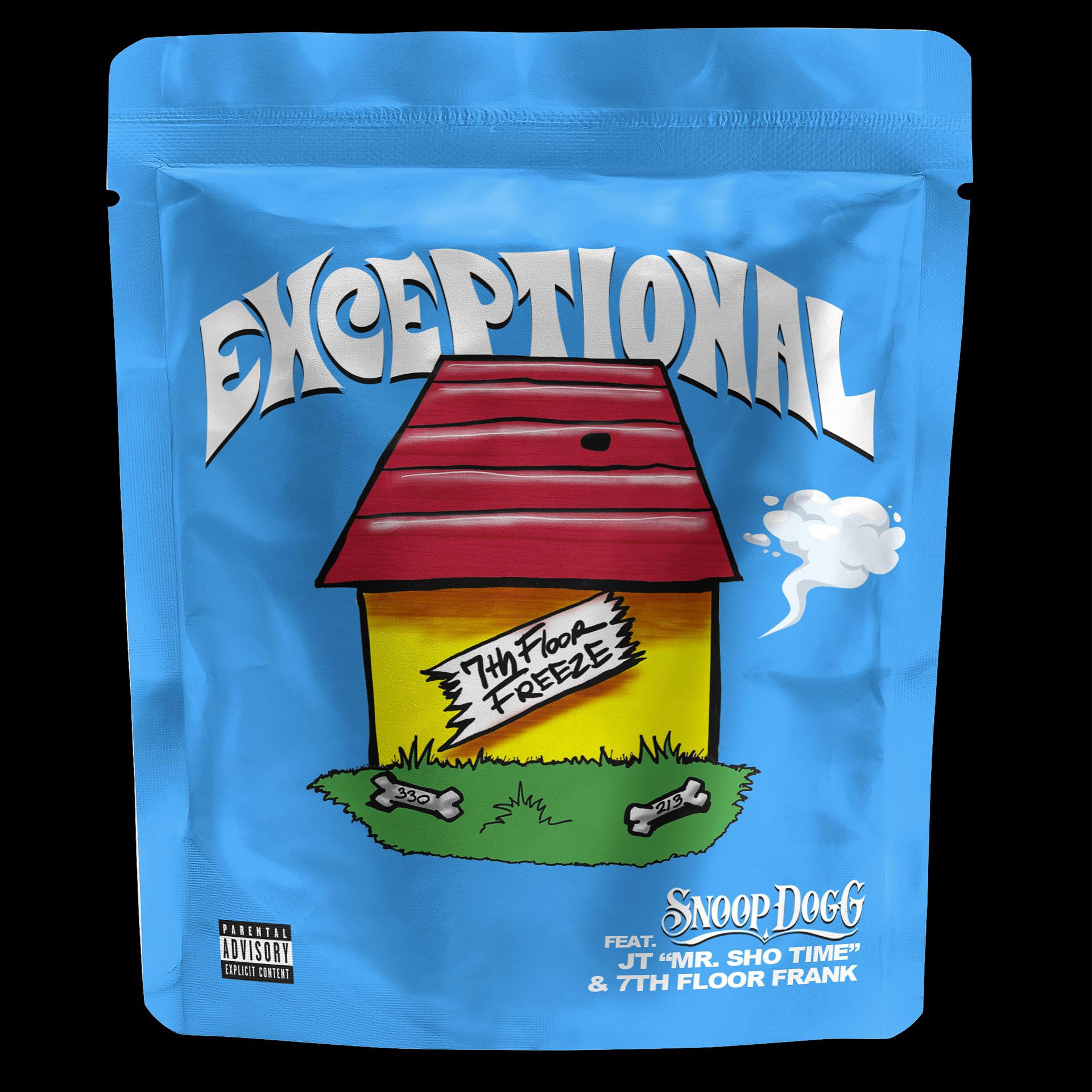 Постер альбома Exceptional (feat. Snoop Dogg)
