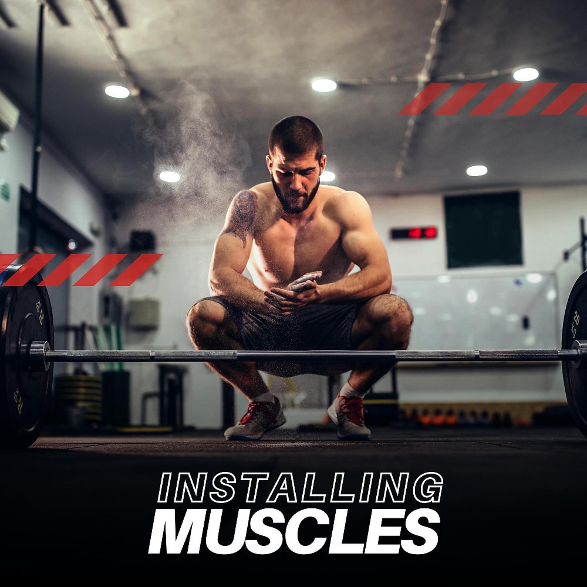 Постер альбома Installing Muscles