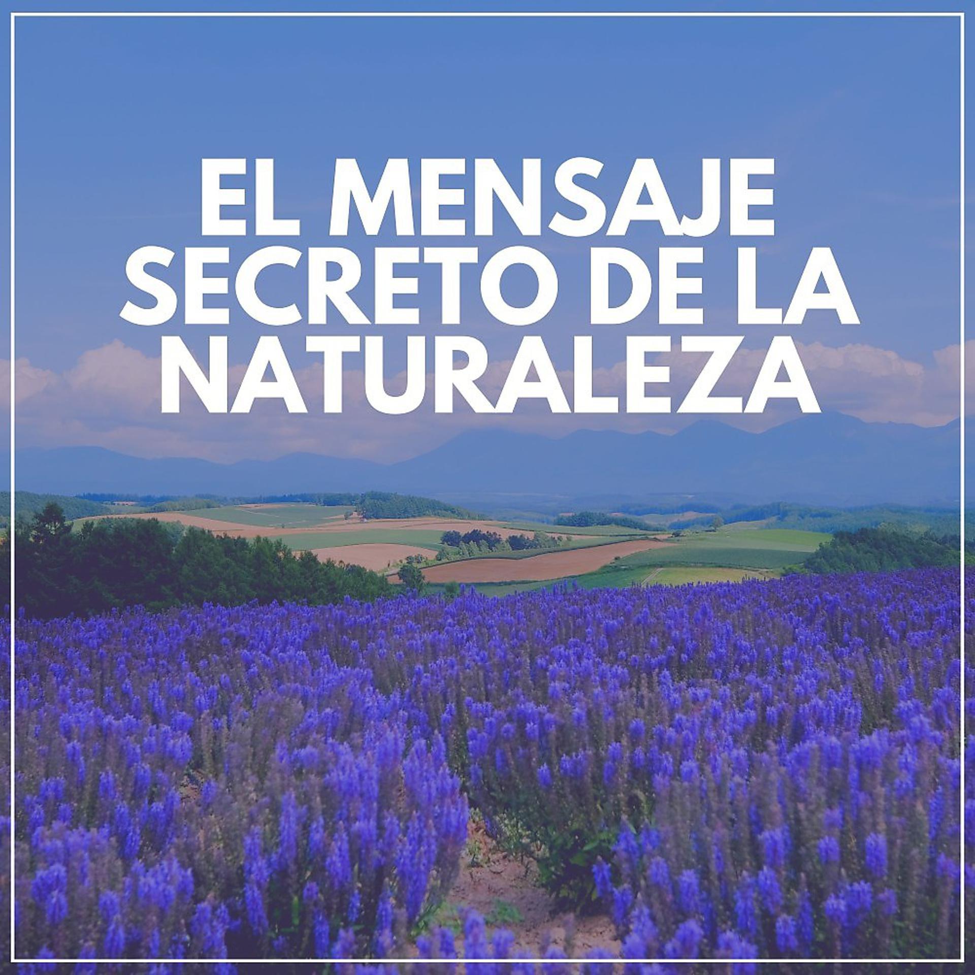 Постер альбома El Mensaje Secreto de la Naturaleza