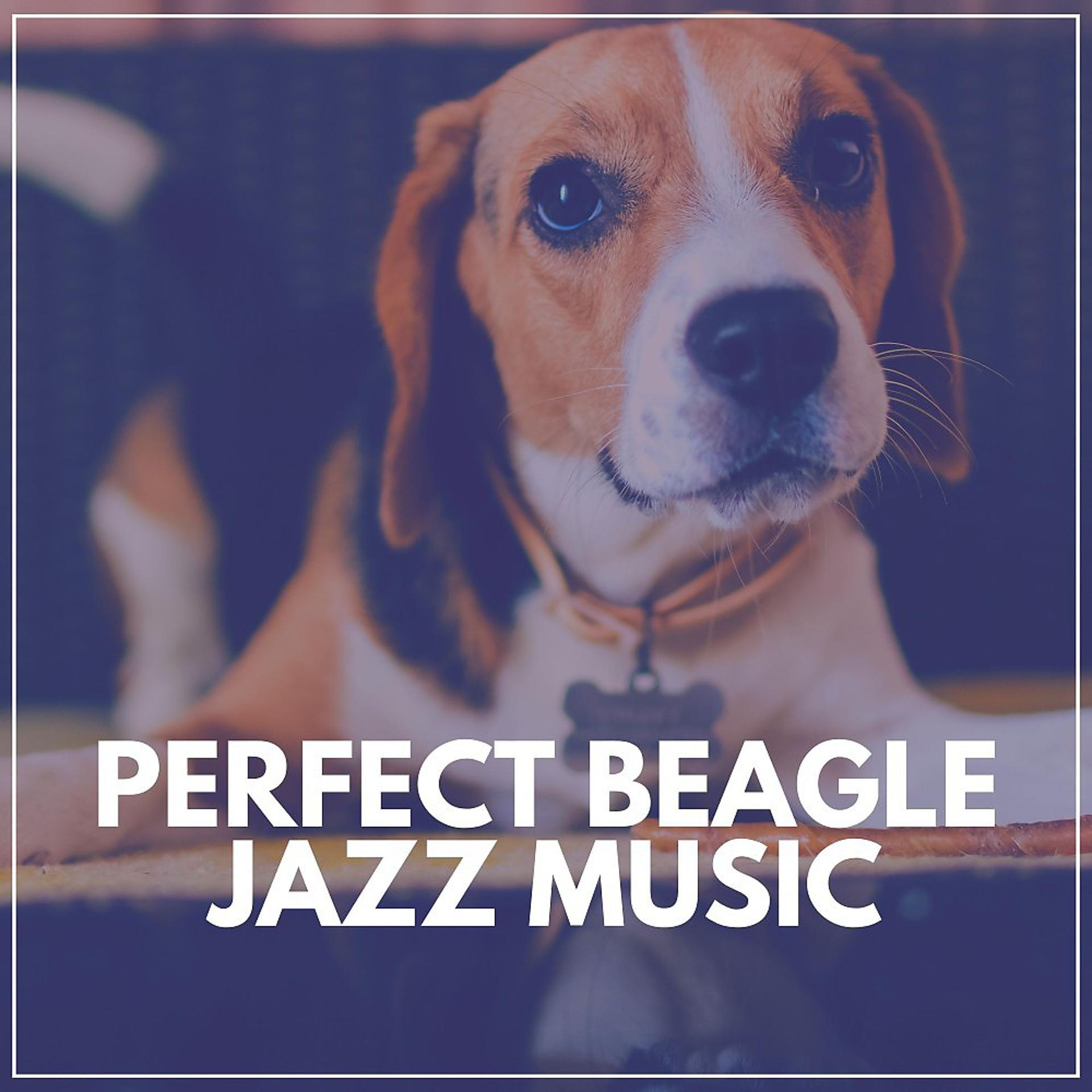 Постер альбома Perfect Beagle Jazz Music
