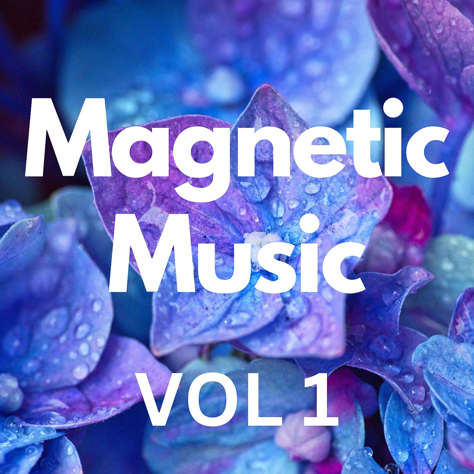 Постер альбома Magnetic Music Vol 1