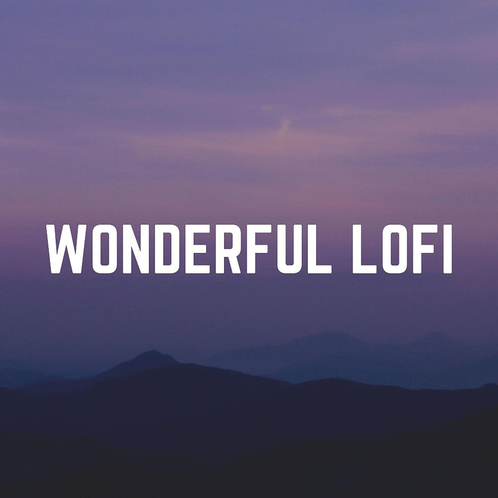 Постер альбома Wonderful Lofi