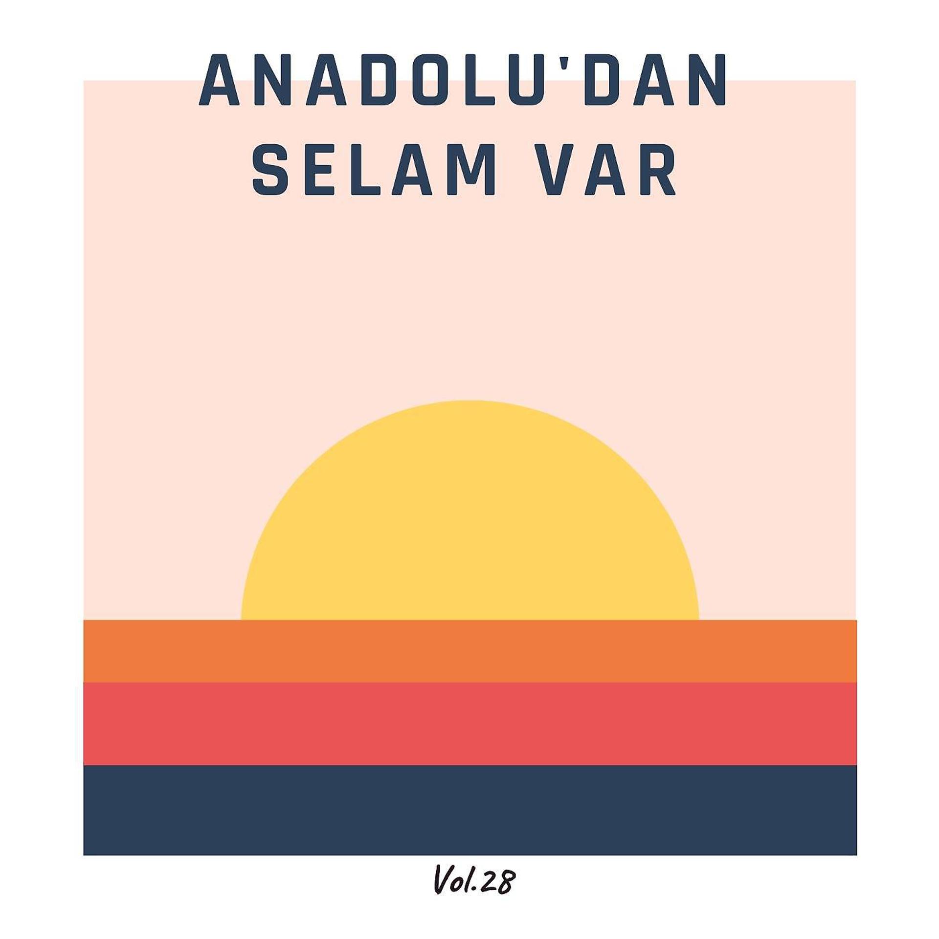 Постер альбома Anadolu'dan Selam Var, Vol. 28