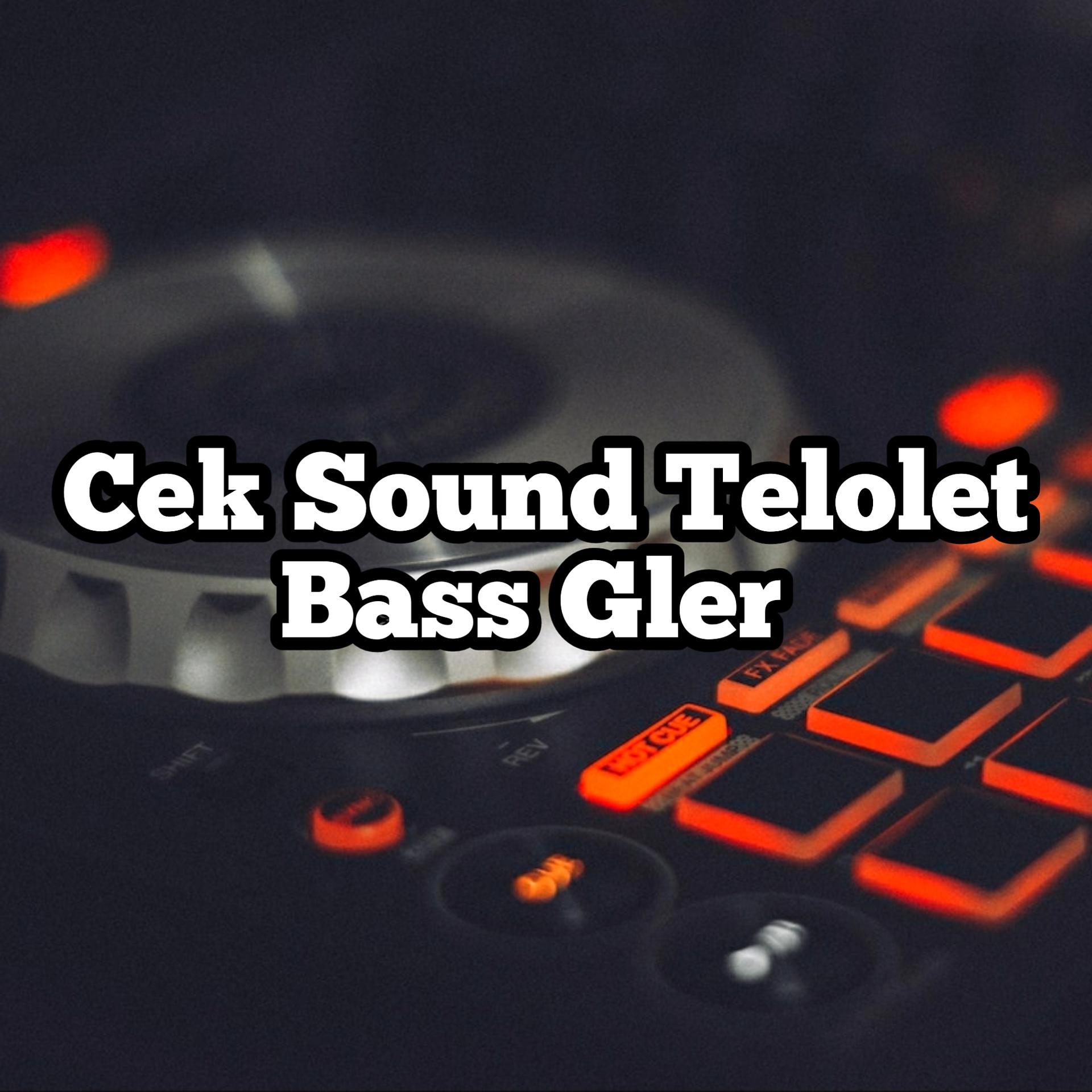 Постер альбома Cek Sound Telolet Bass Gler