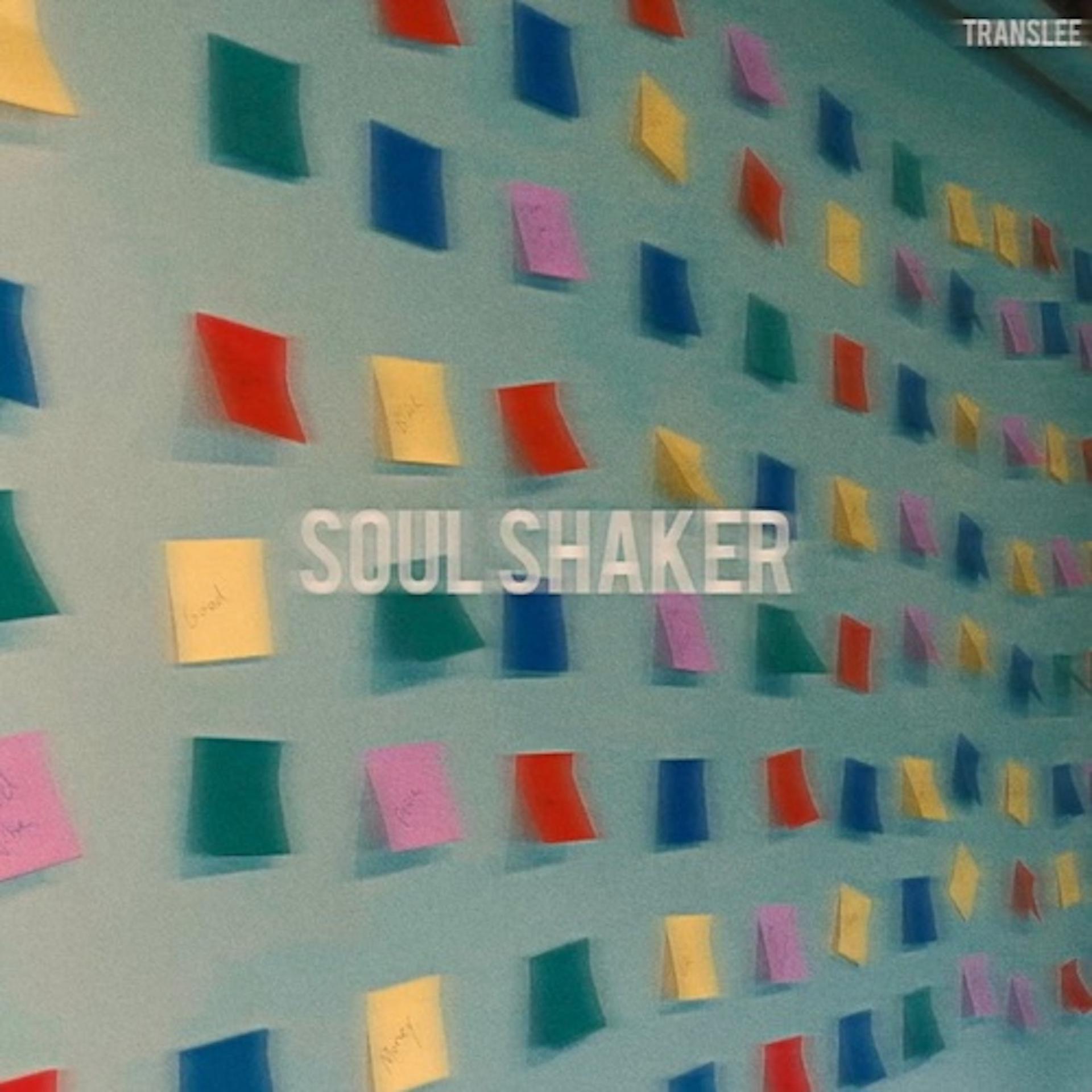 Постер альбома Soul Shaker