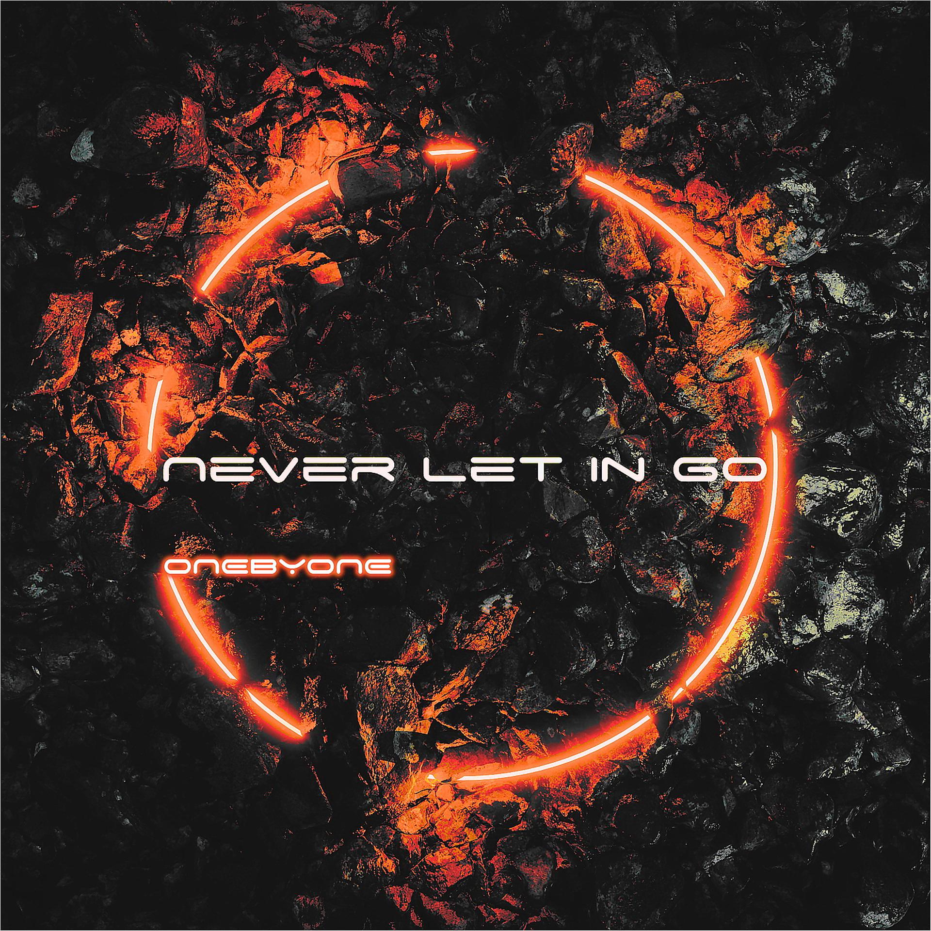 Постер альбома Never Let in Go